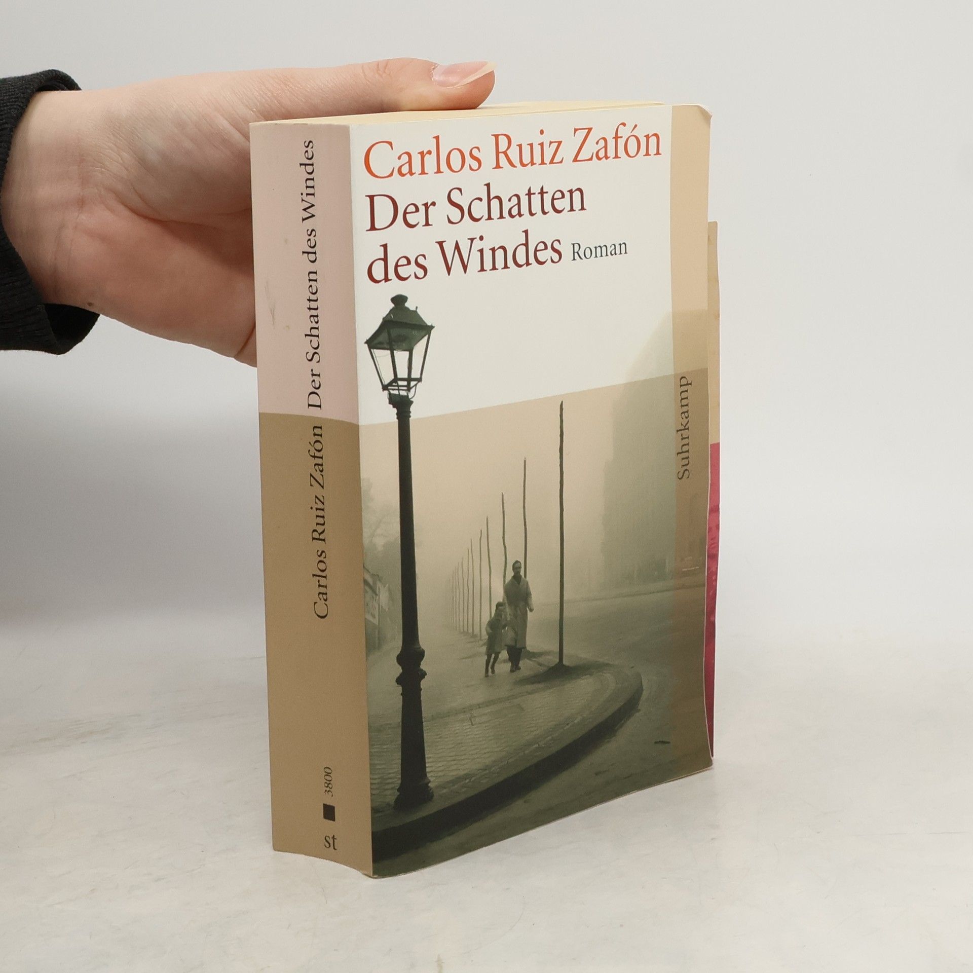Carlos Ruiz Zafón Der Schatten des Windes