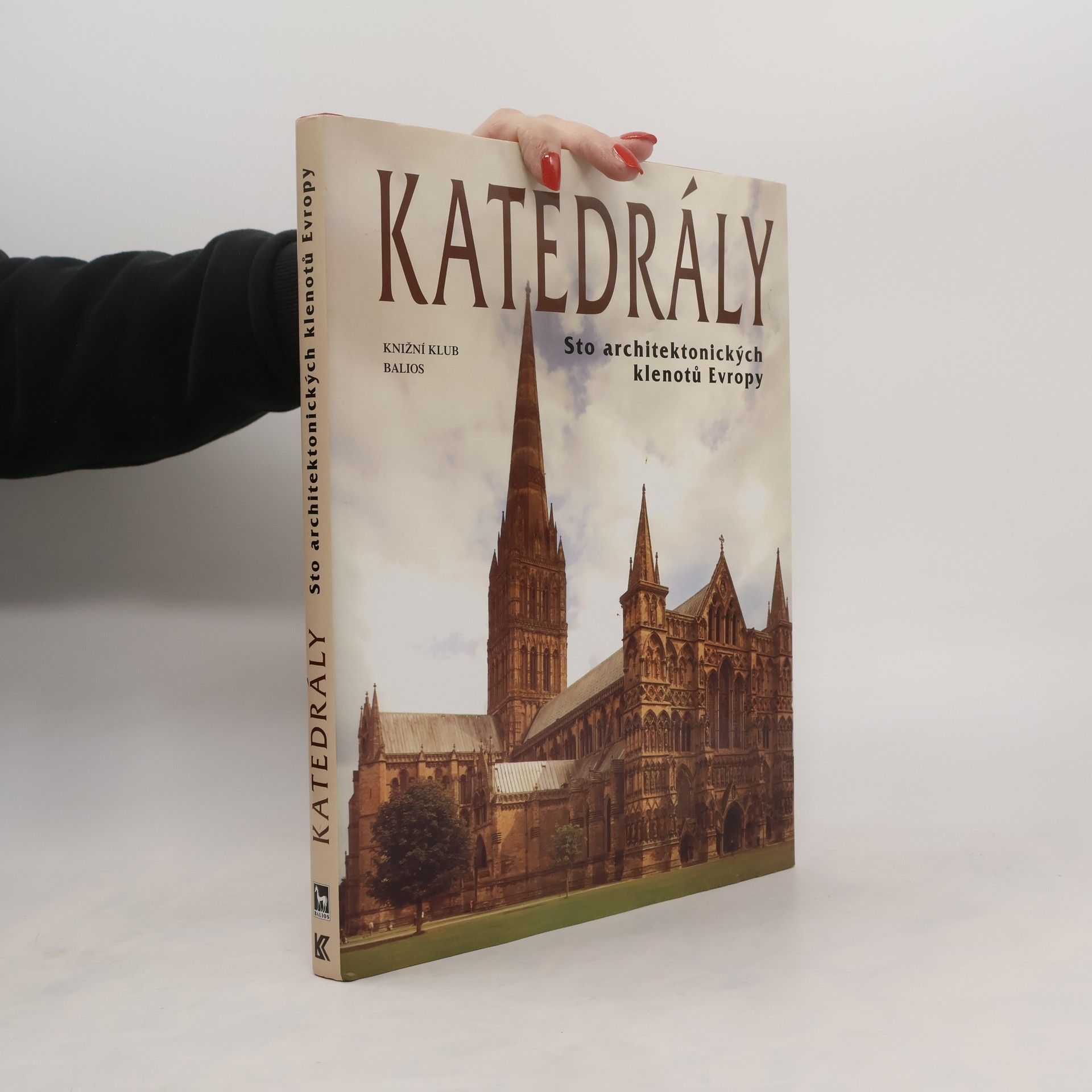 Kolektiv autorů Katedrály : sto architektonických klenotů Evropy