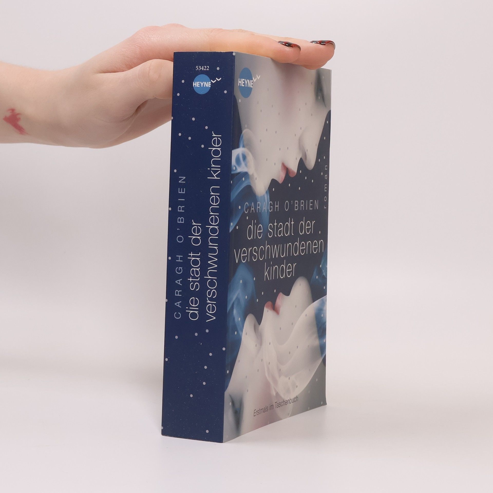 Caragh O. Brien Die Stadt der verschwundenen Kinder