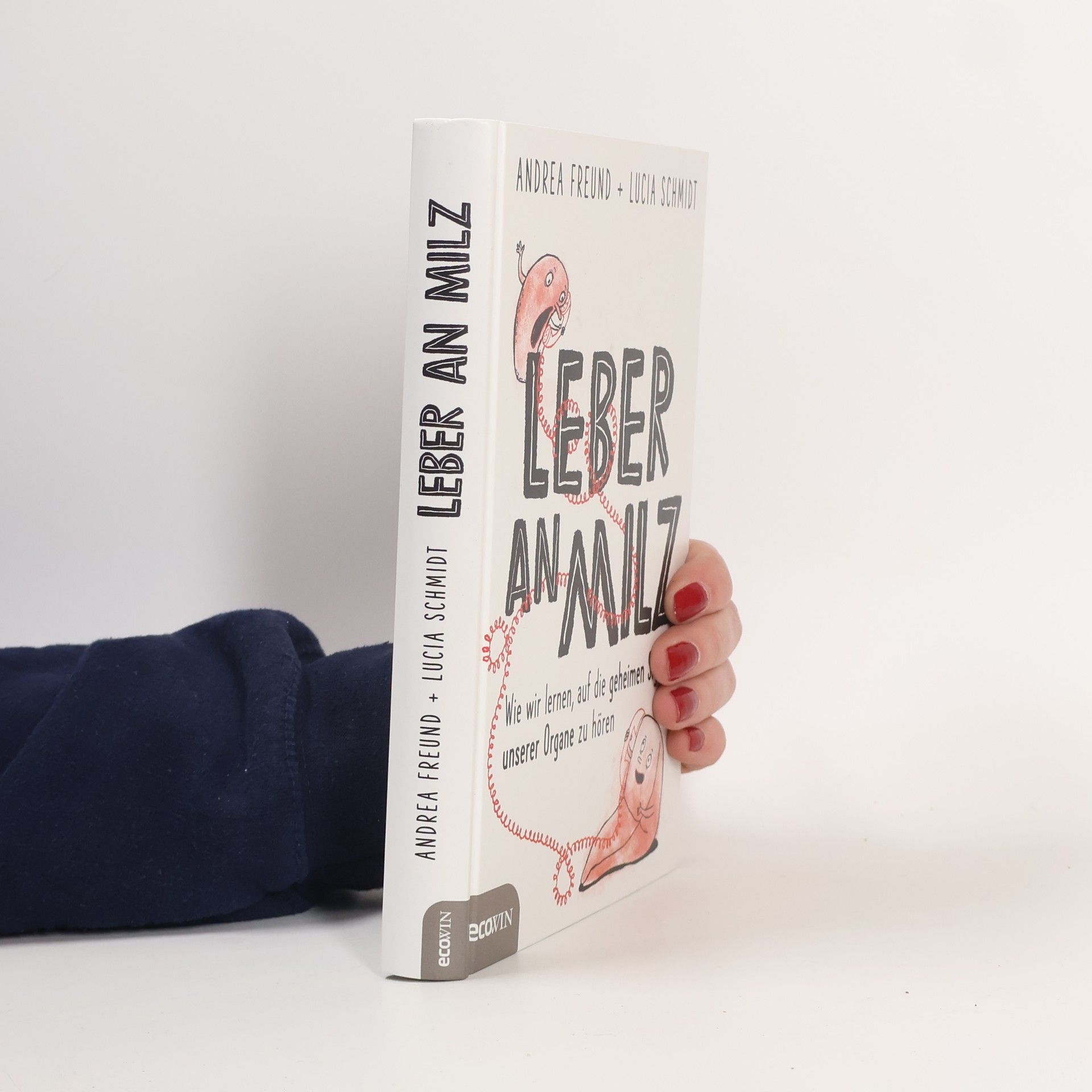 Andrea Freund Leber an Milz