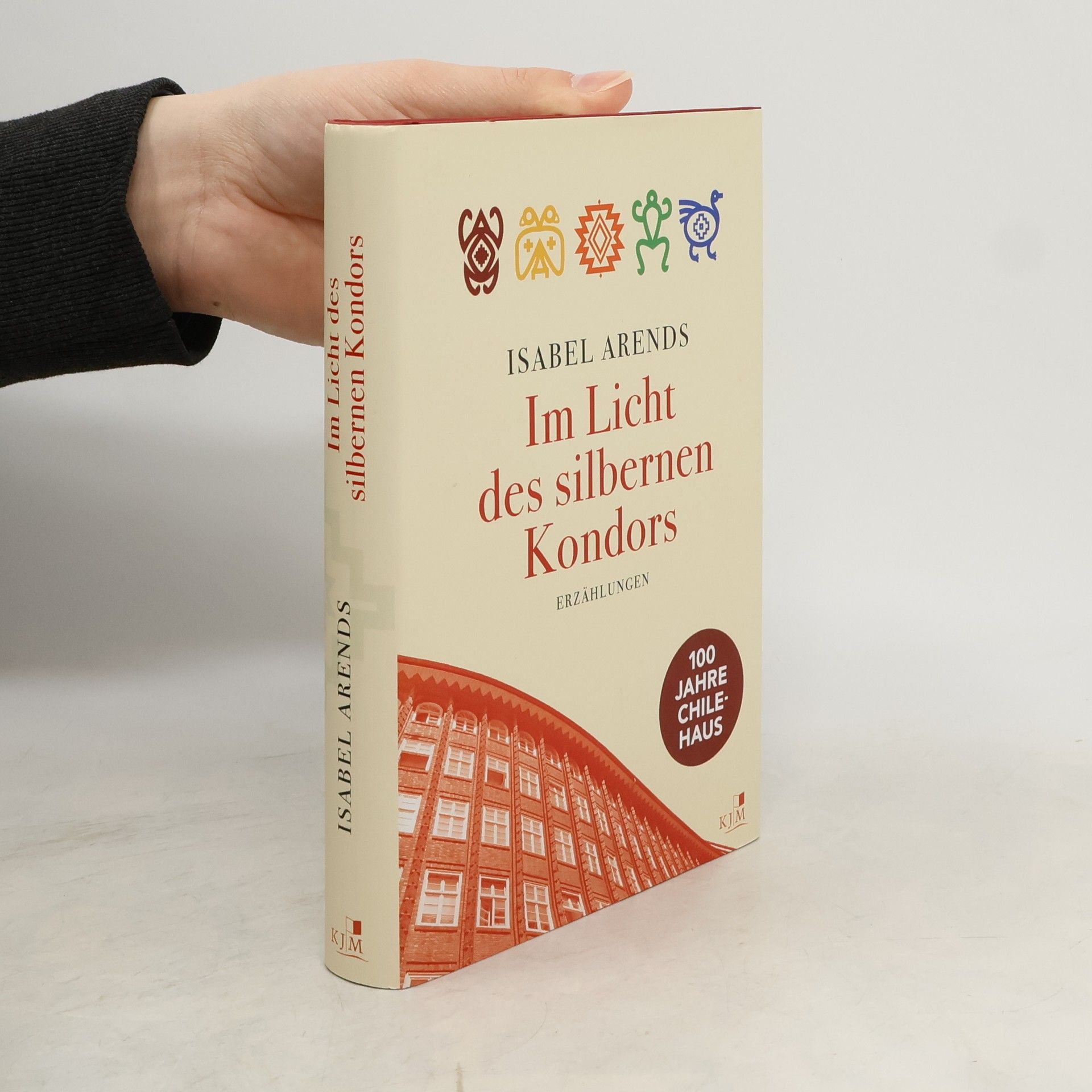 Im Licht des silbernen Kondors. Erzählungen