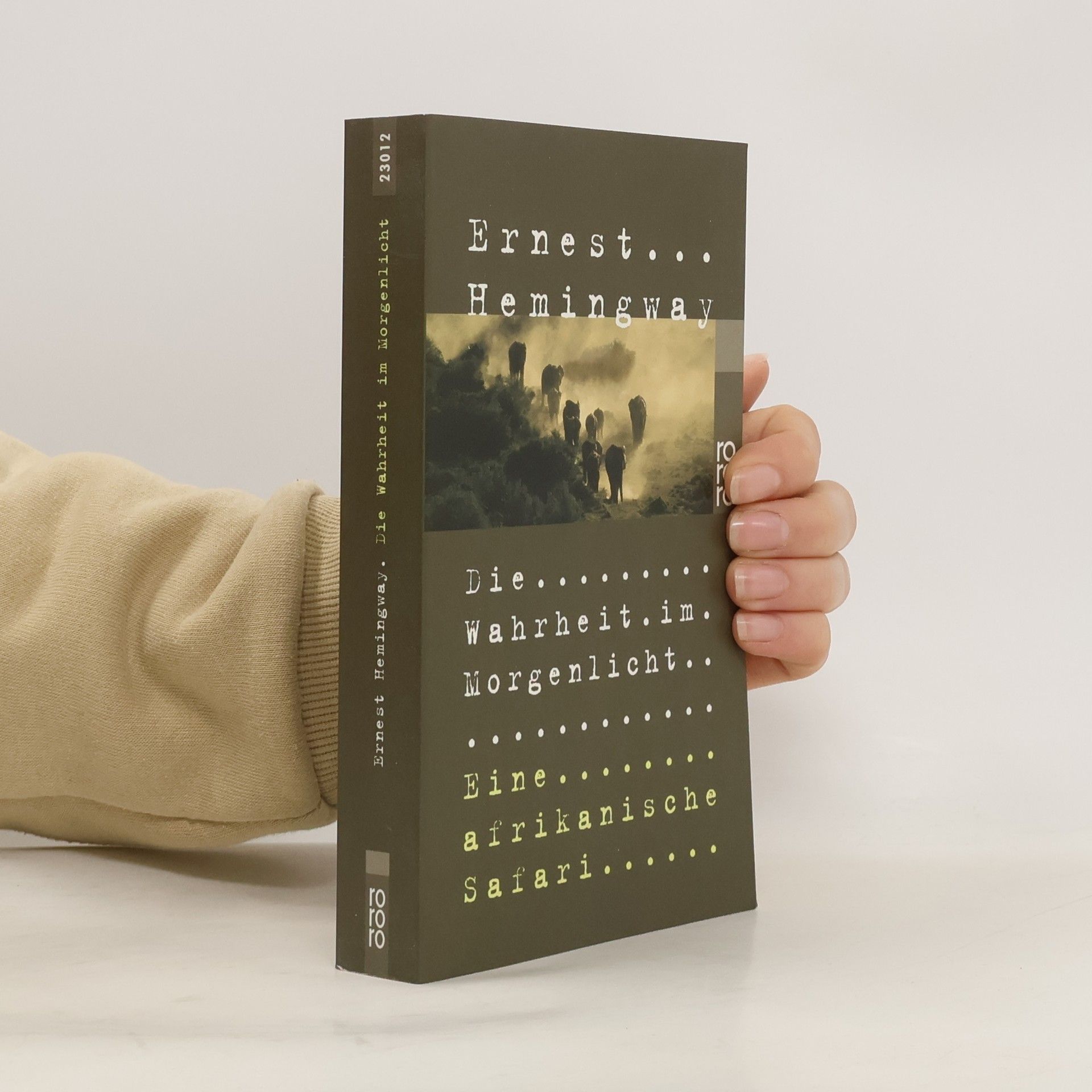 Ernest Hemingway Die Wahrheit im Morgenlicht