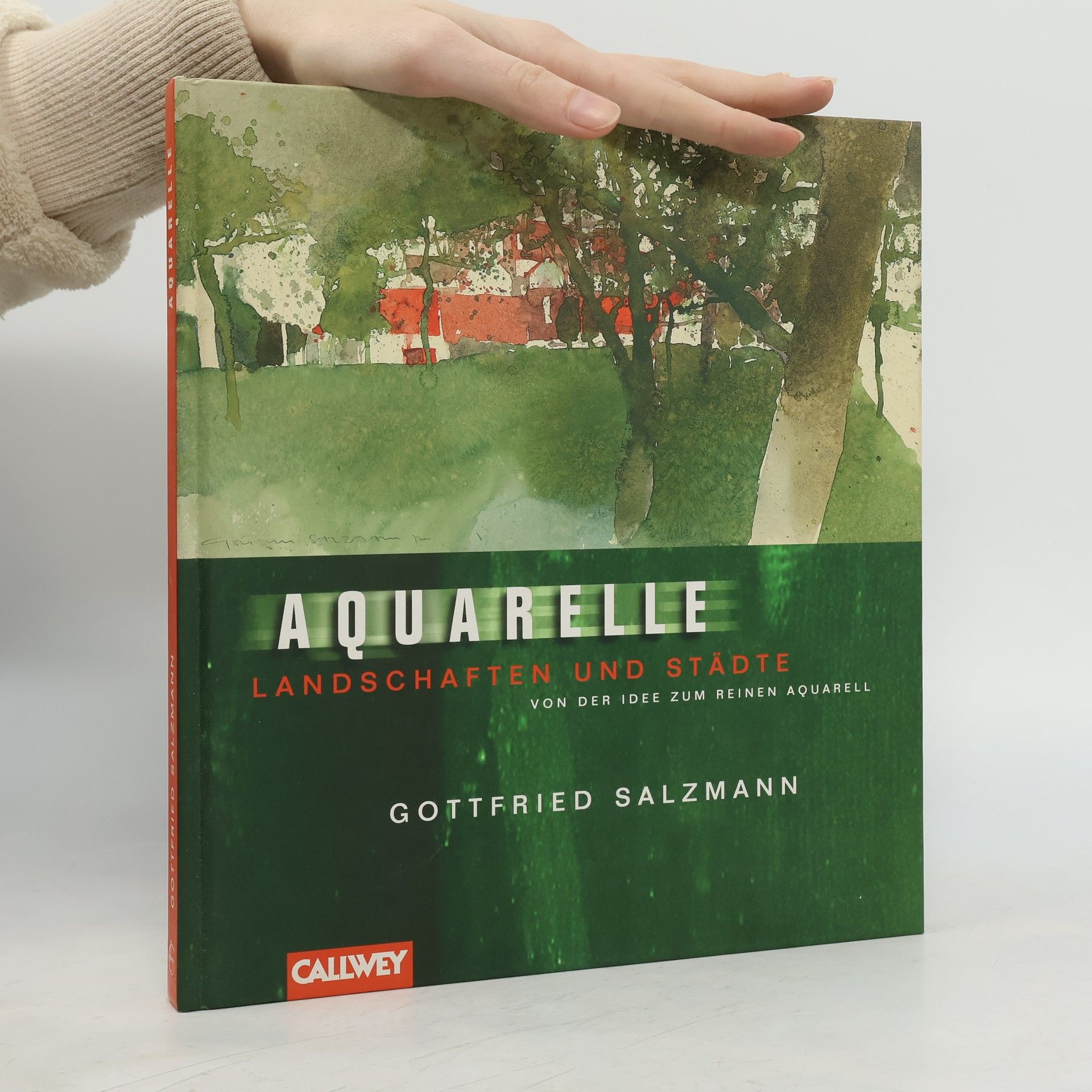 Gottfried Salzmann Aquarelle. Landschaften und Städte. Von der Idee zum reinen Aquarell.