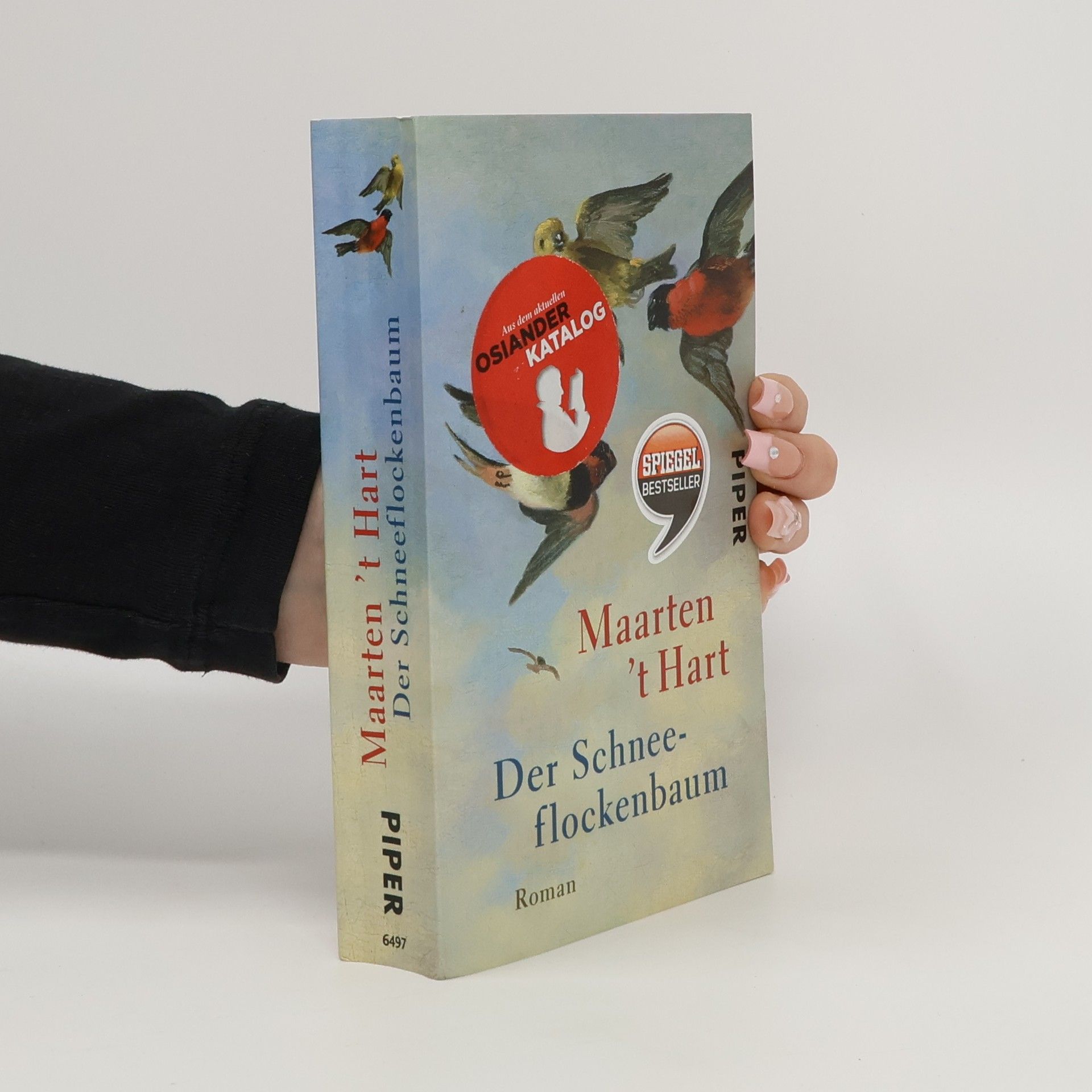 Maarten 't Hart Der Schneeflockenbaum