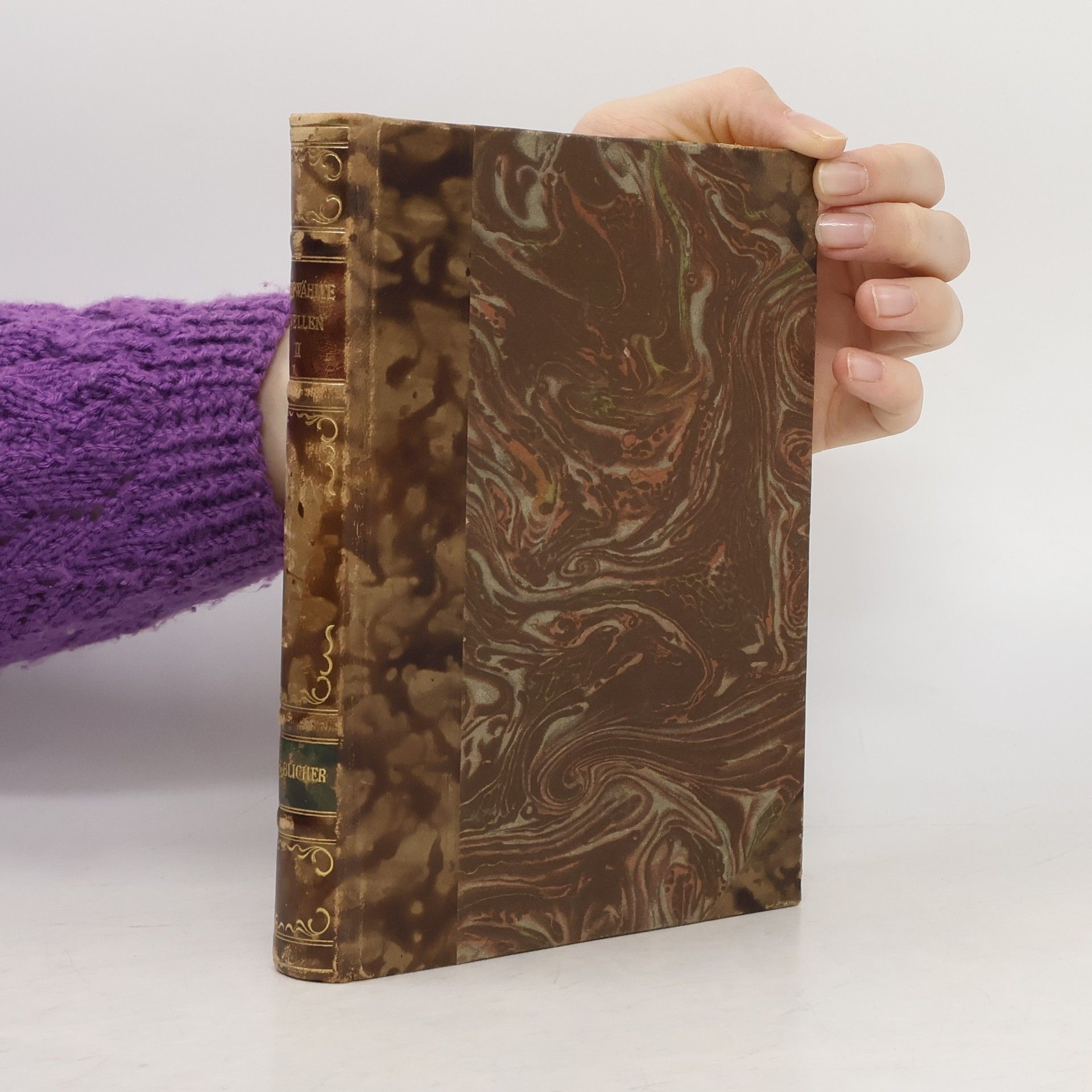 Ausgewählte Novellen. Band 2