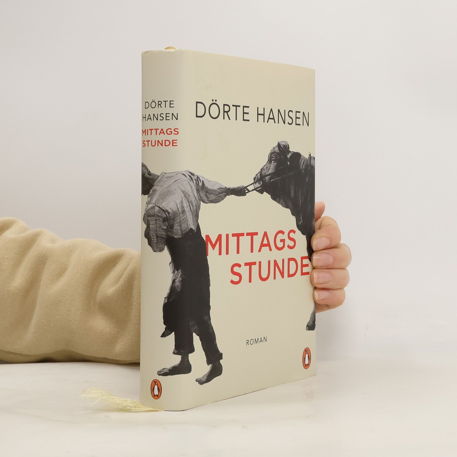 Dörte Hansen Mittagsstunde