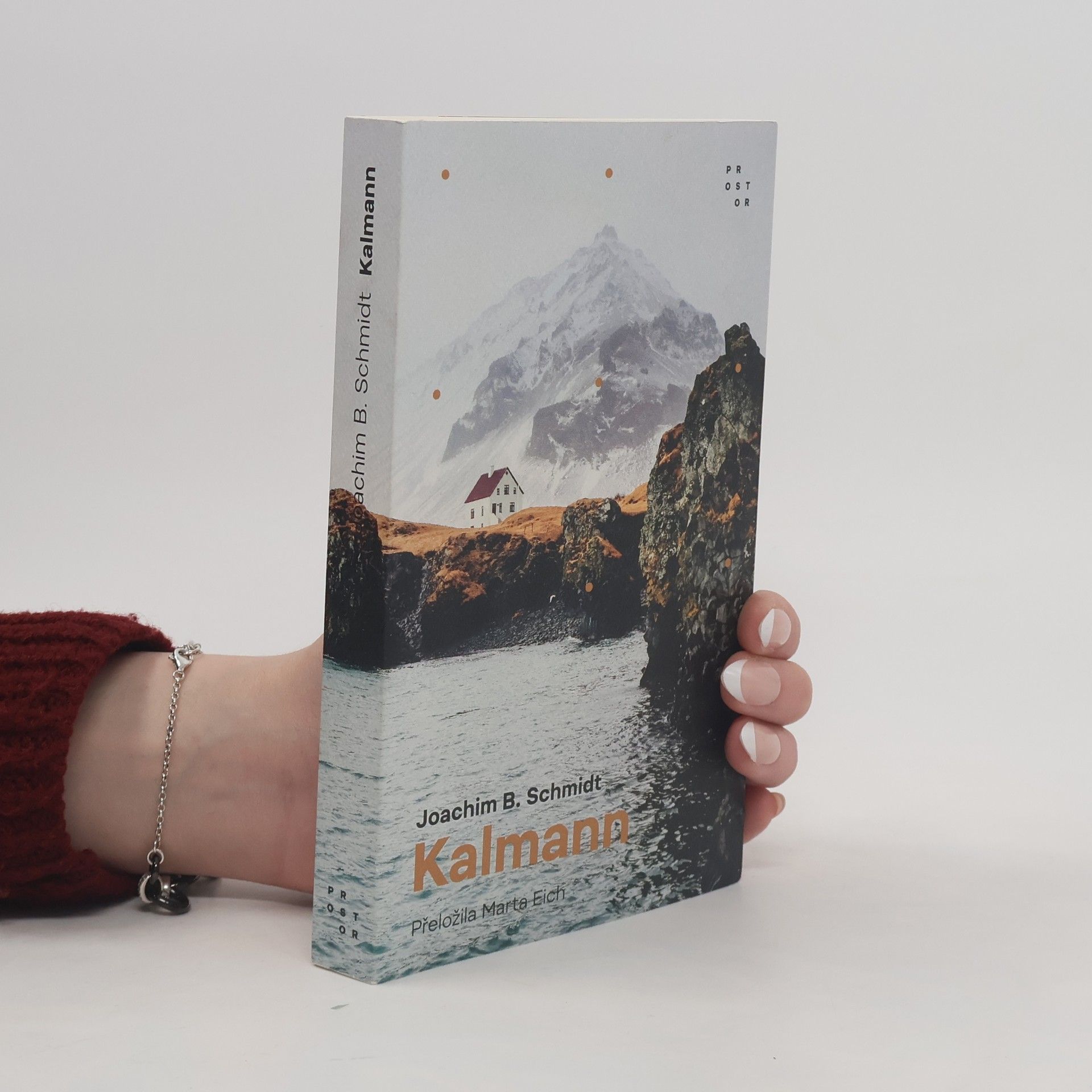 Joachim B. Schmidt Kalmann