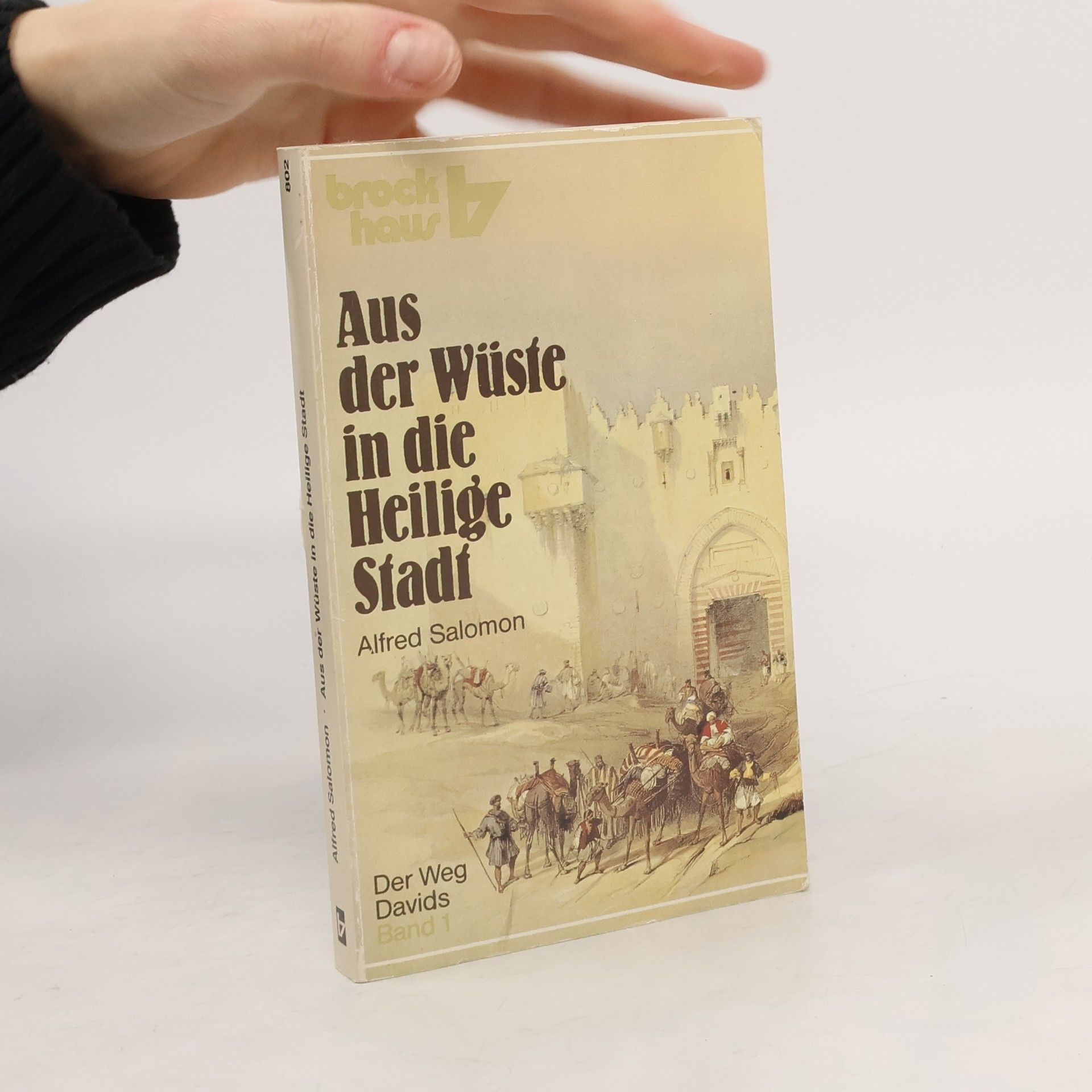 Alfred Salomon Der Weg Davids - 1: Aus der Wüste in die Heilige Stadt