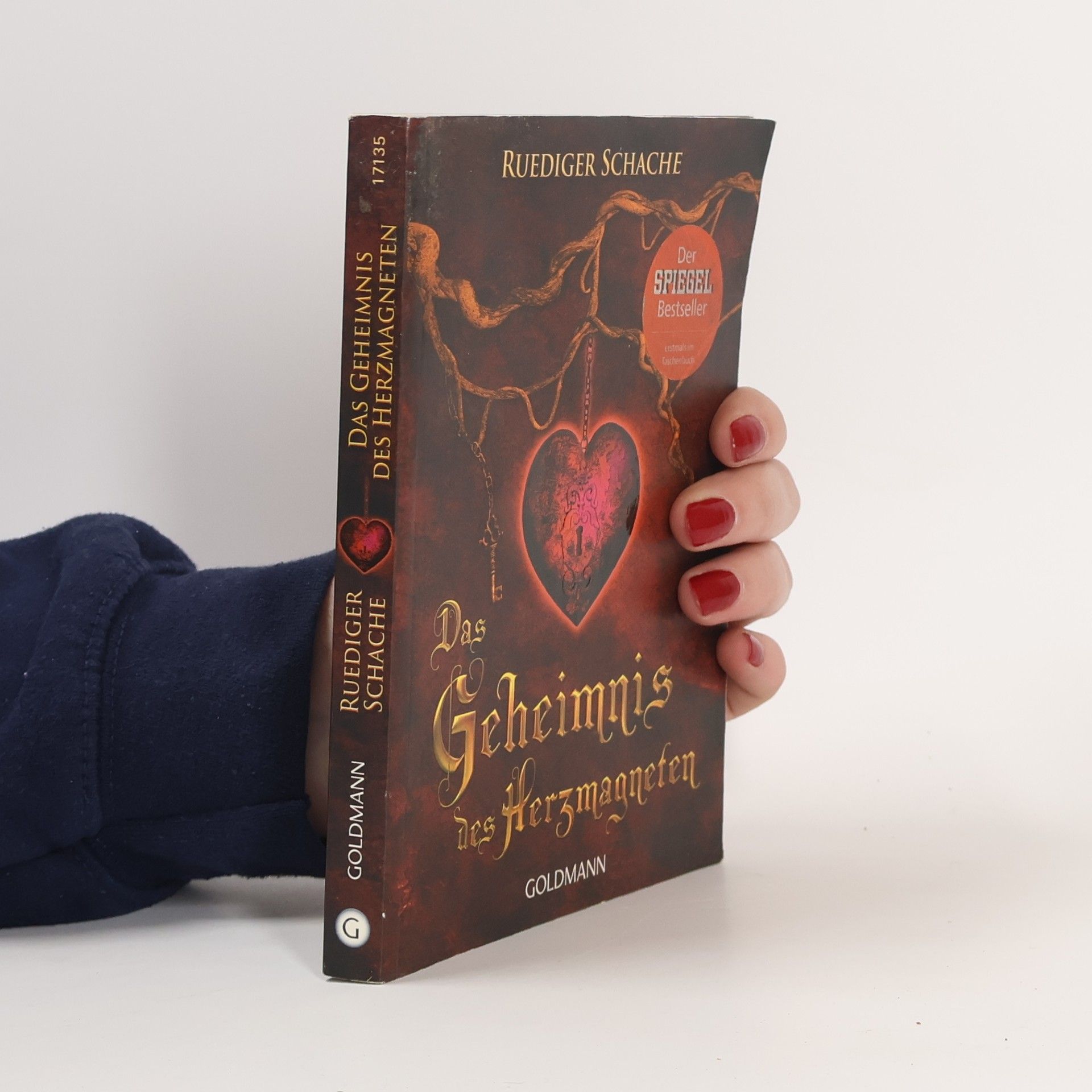 Ruediger Schache Das Geheimnis des Herzmagneten