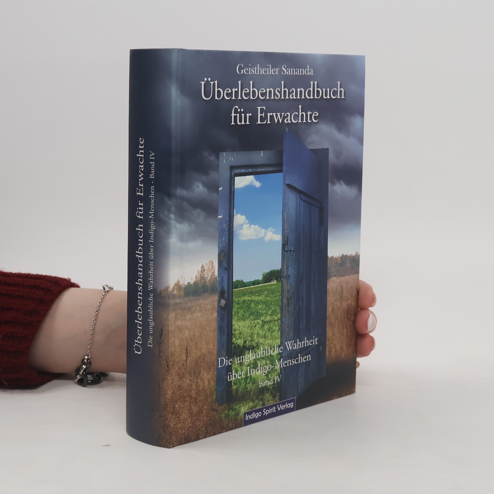 Oliver Michael Brecht Geistheiler Sananda: Überlebenshandbuch für Erwachte