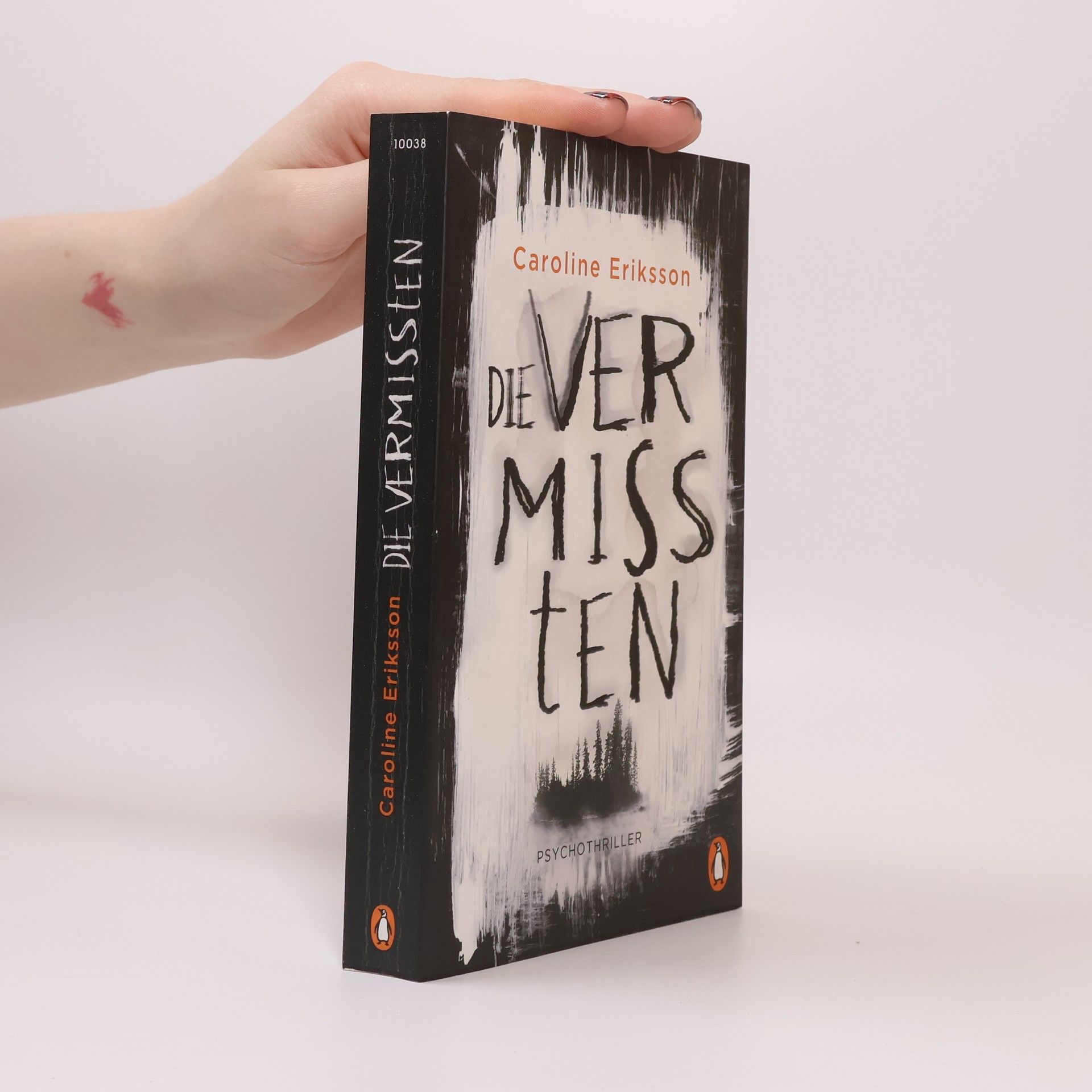 Caroline Eriksson Die Vermissten