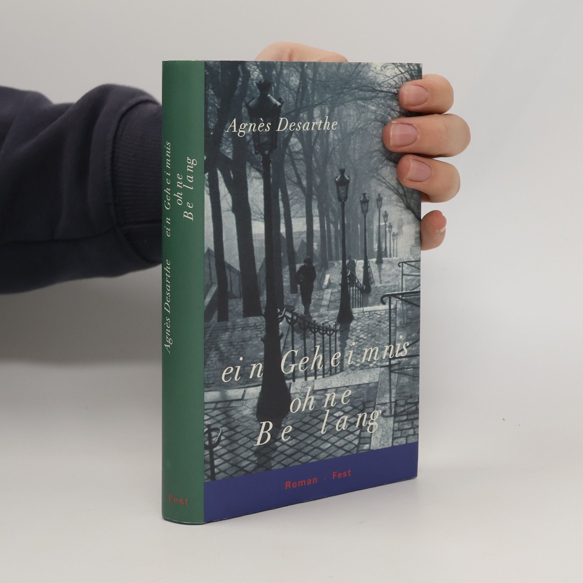 Agnès Desarthe Ein Geheimnis ohne Belang