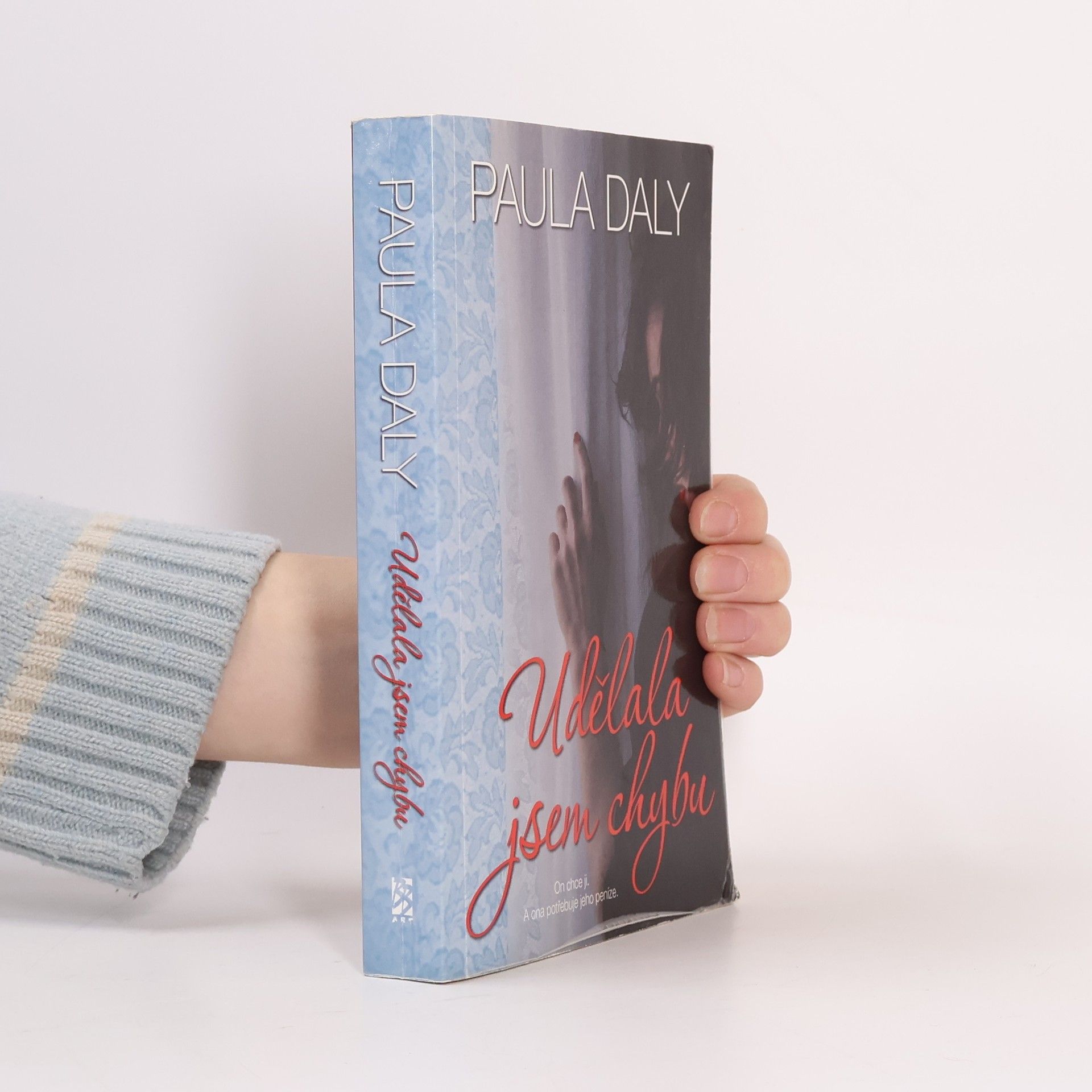 Paula Daly Udělala jsem chybu