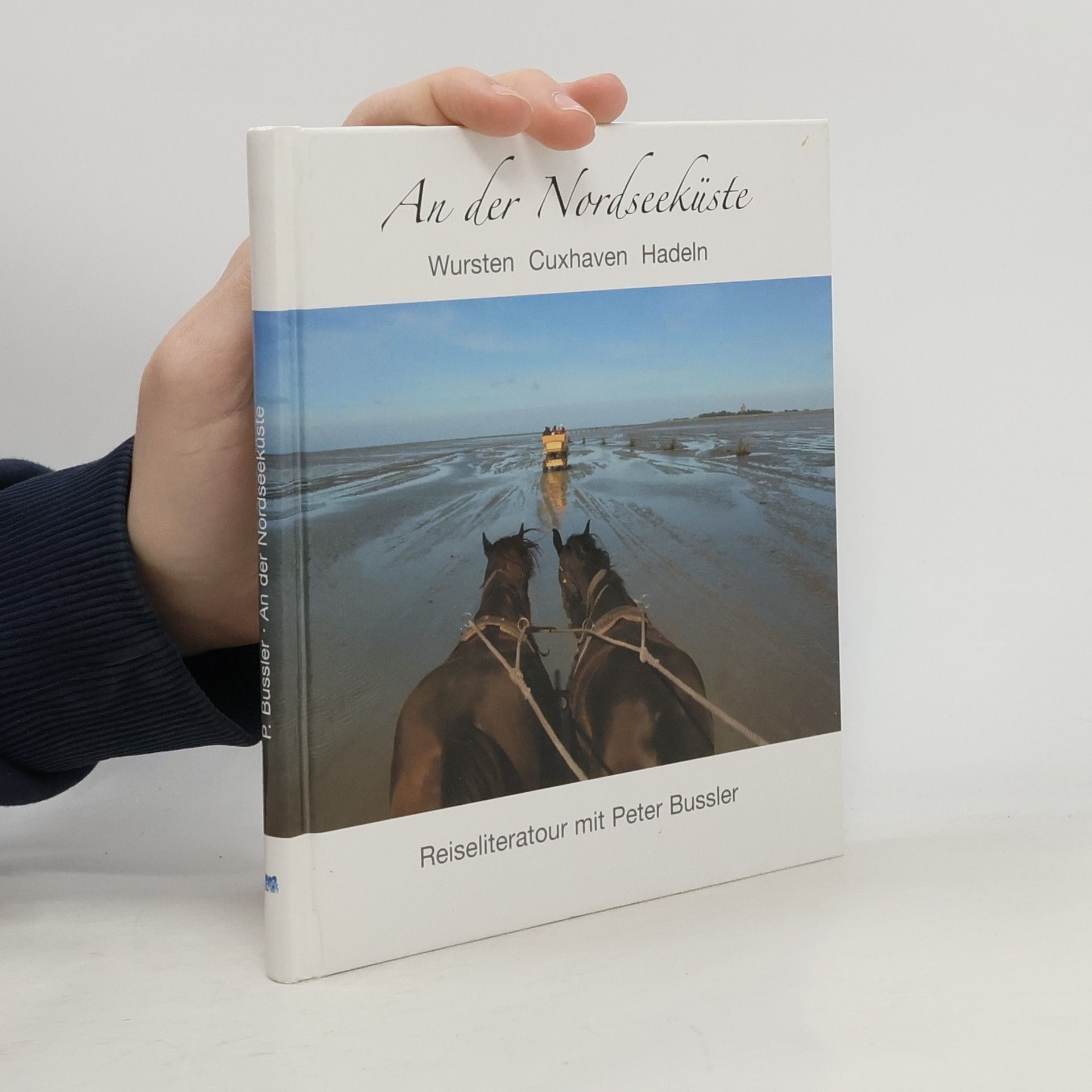 Peter Bussler An der Nordseeküste