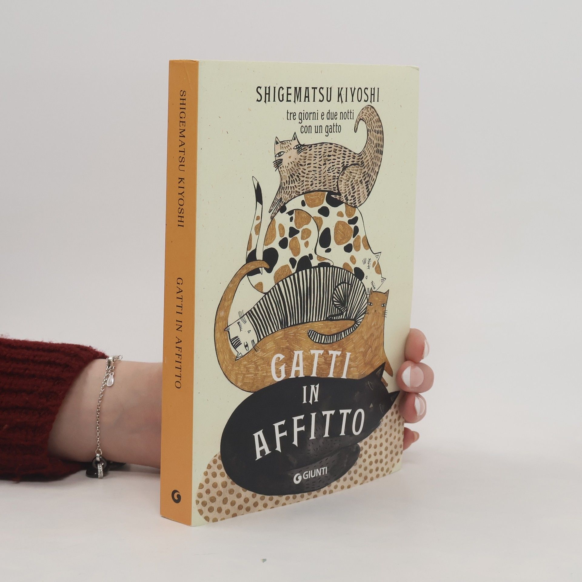 Kiyoshi Shigematsu Gatti in affitto