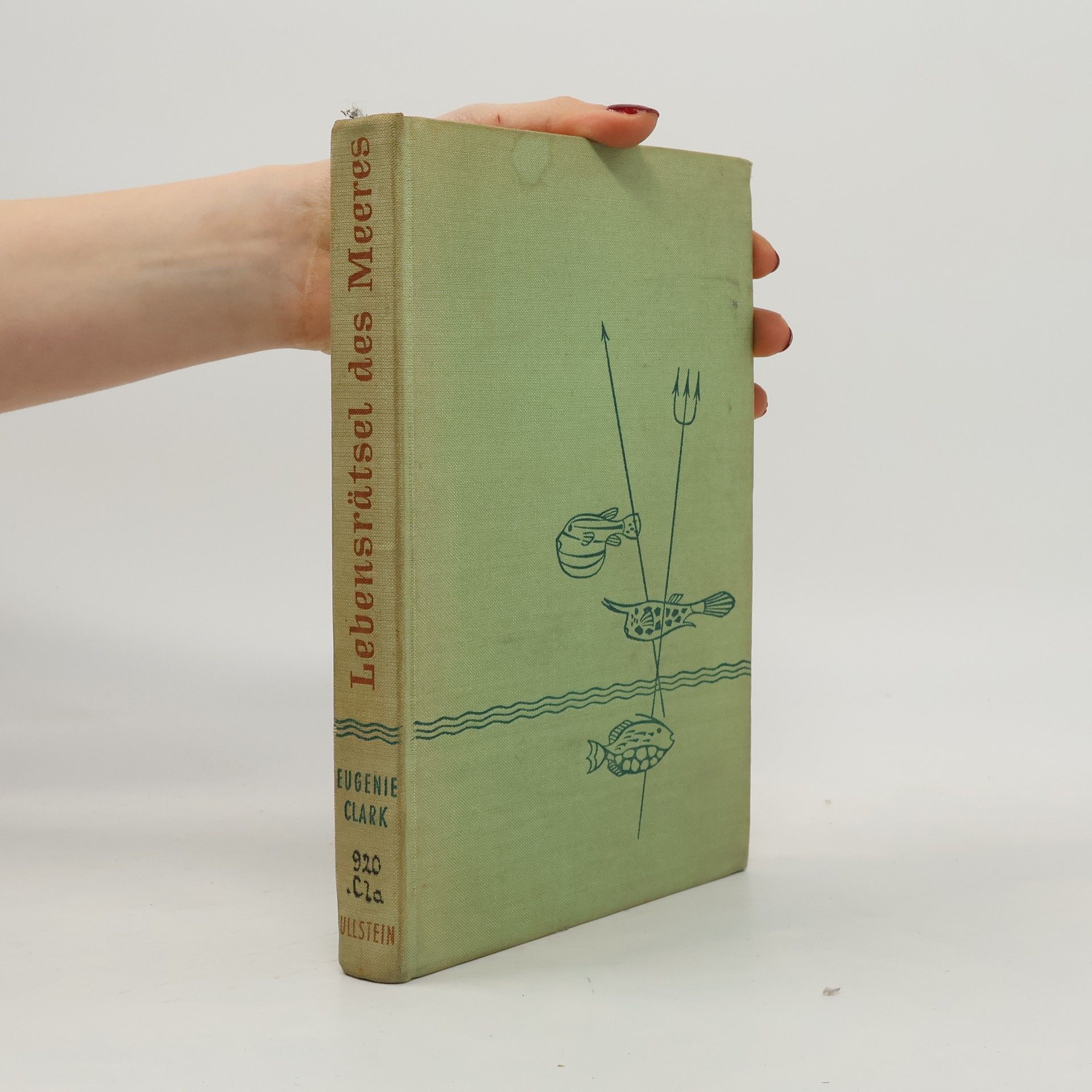 Eugenie Clark Lebensrätsel des Meeres