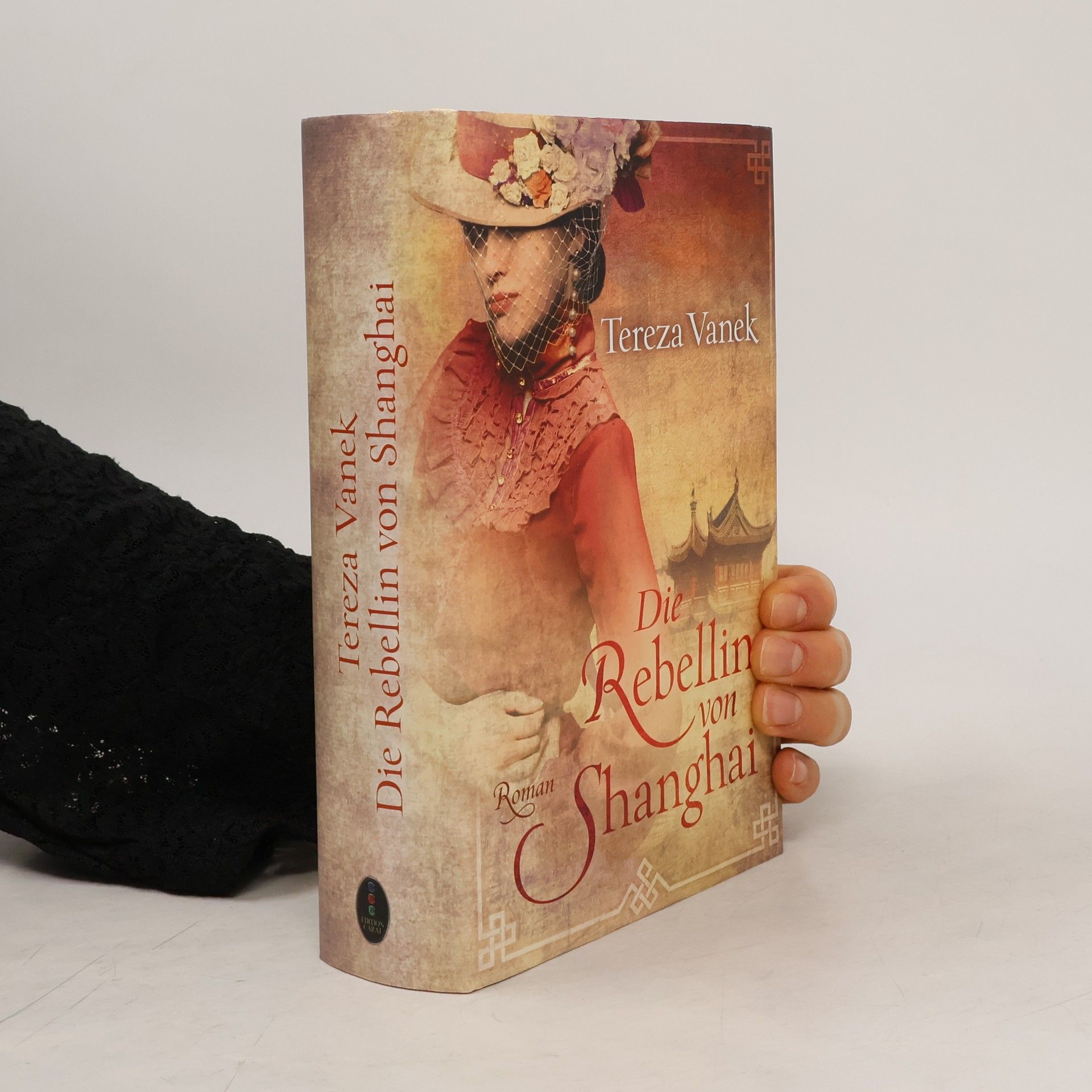 Tereza Vanek Die Rebellin von Shanghai