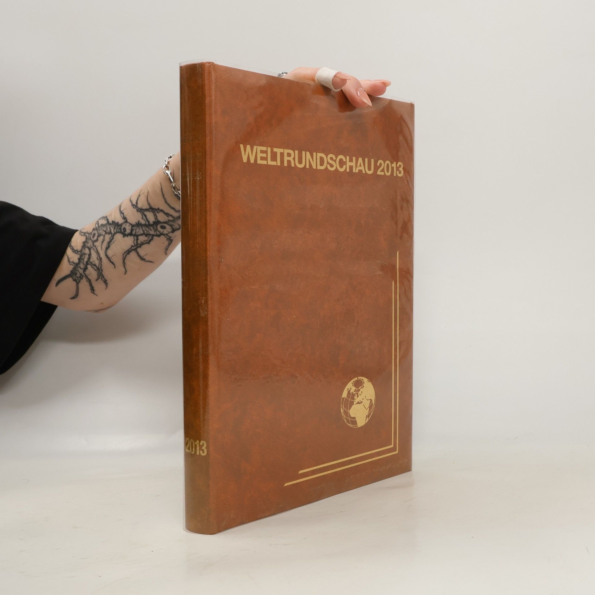 AA.VV. Weltrundschau 2013