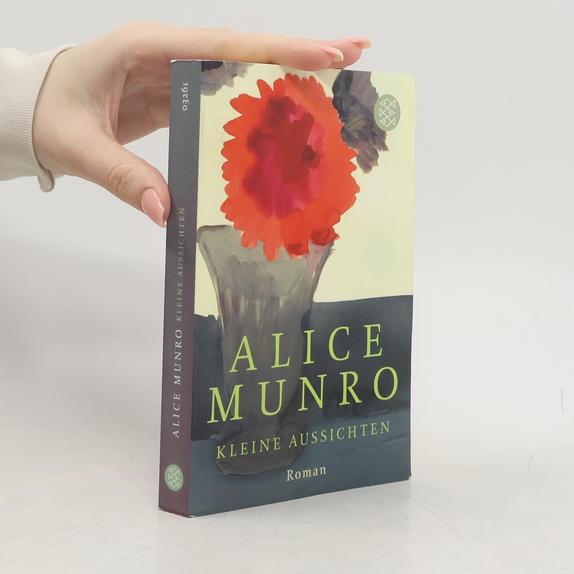 Alice Munro Kleine Aussichten