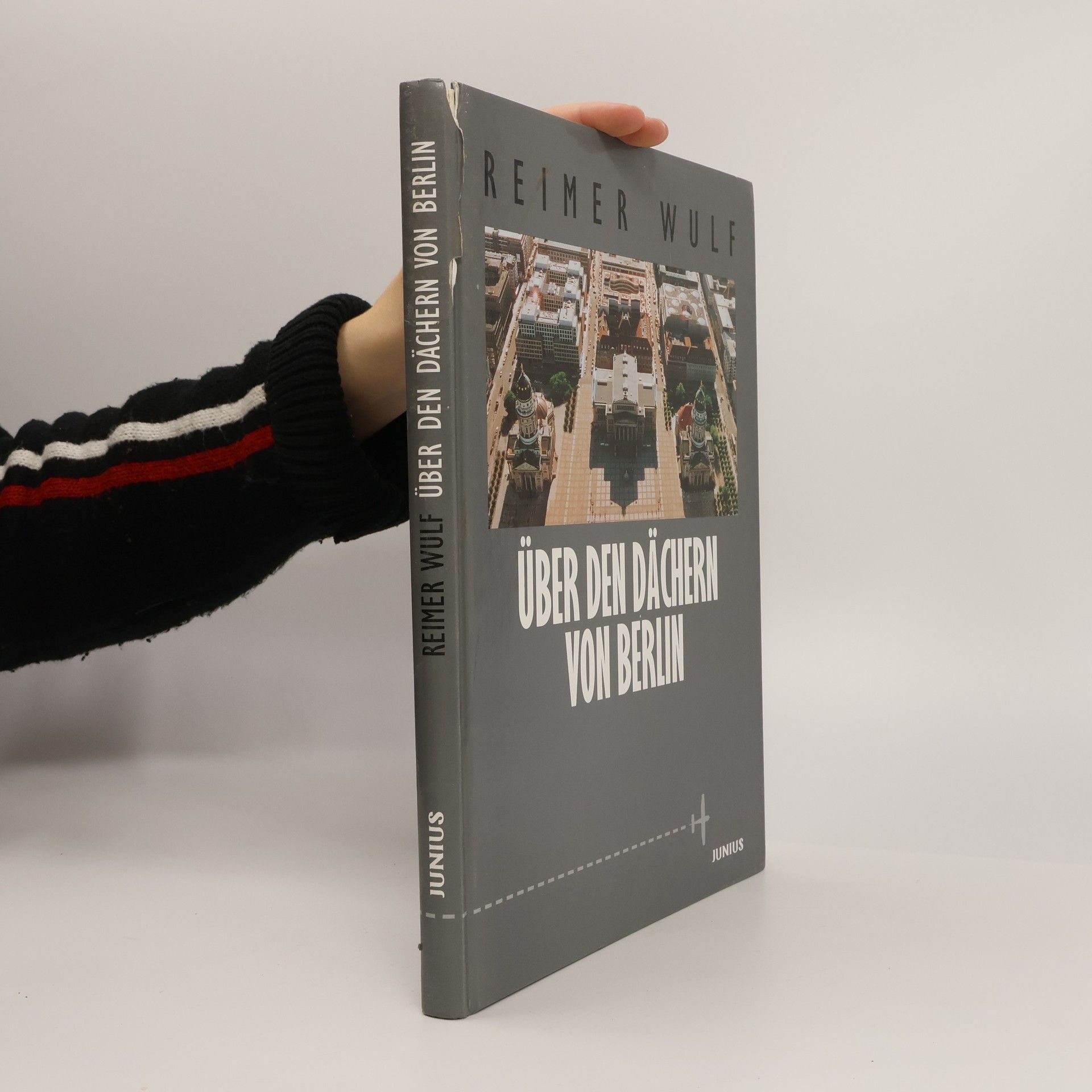 Über den Dächern von Berlin