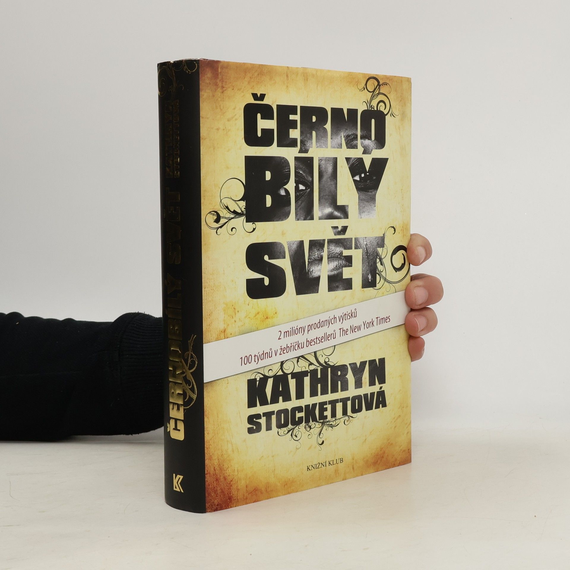 Kathryn Stockett Černobílý svět