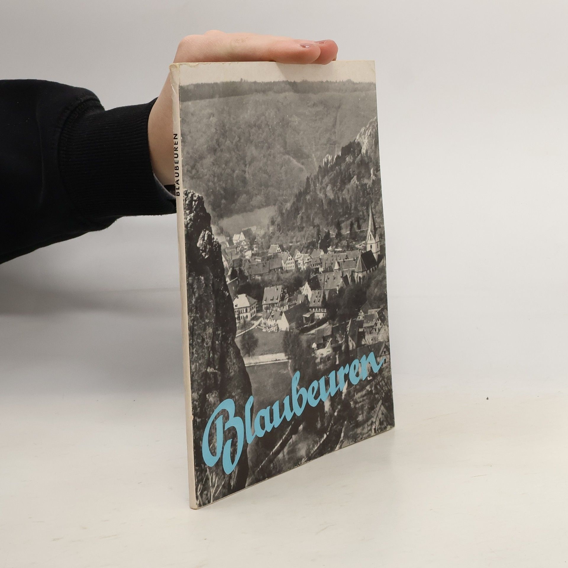 AA.VV. Blaubeuren und seine Umgebung