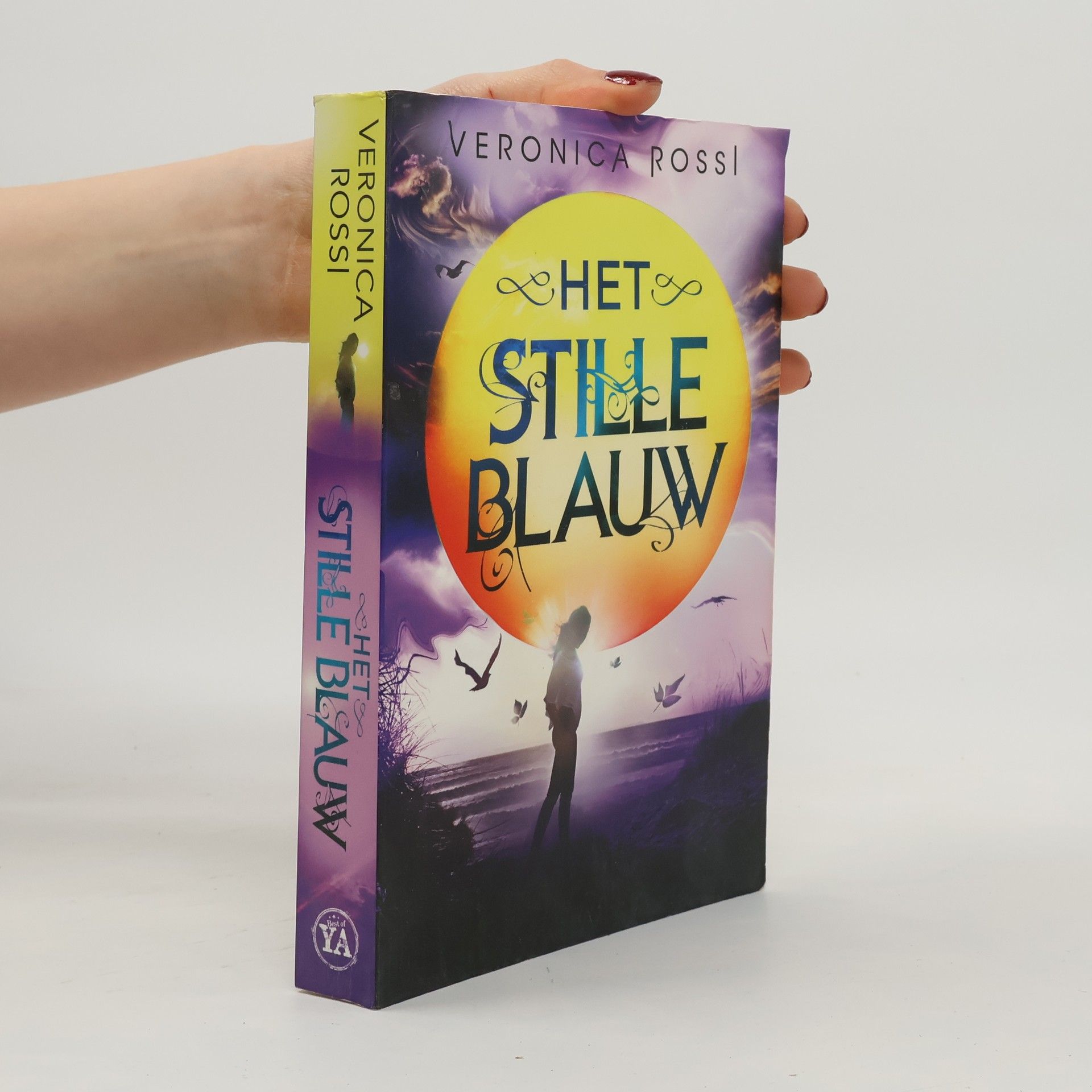 Wereld zonder hemel - 3: Het stille blauw (Dutch Edition)