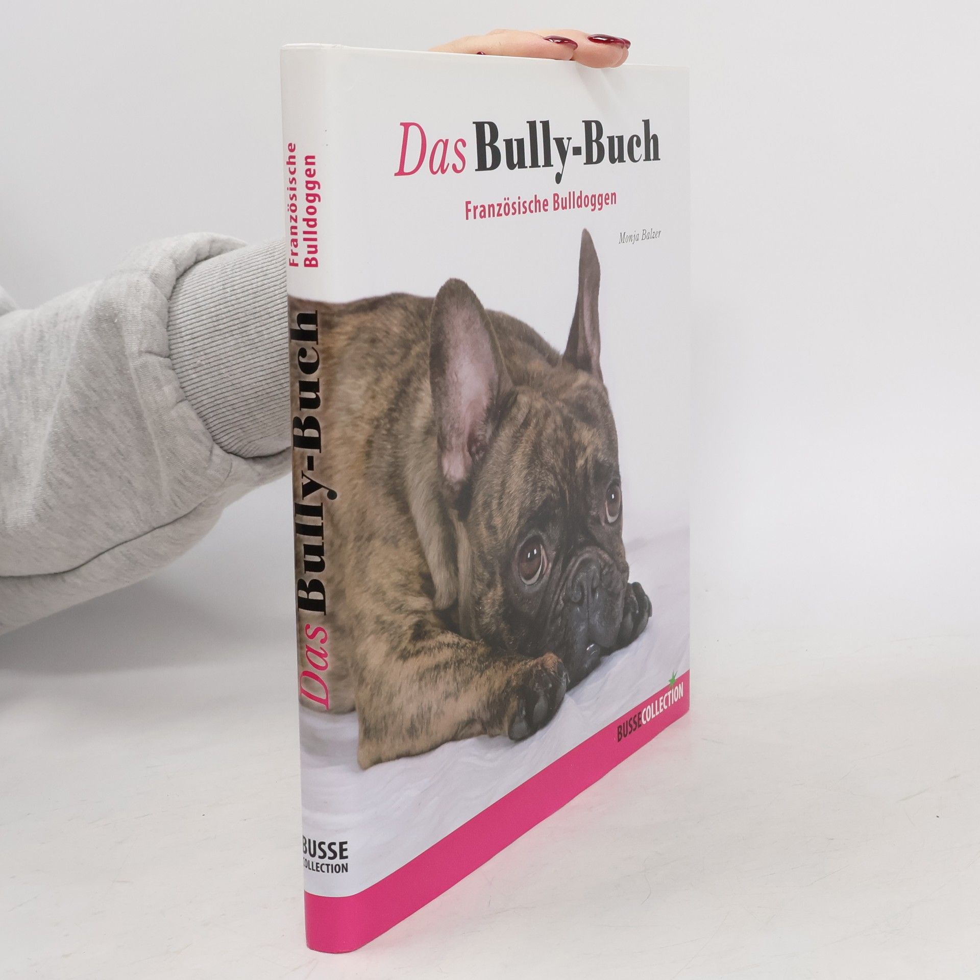 Das Bully-Buch