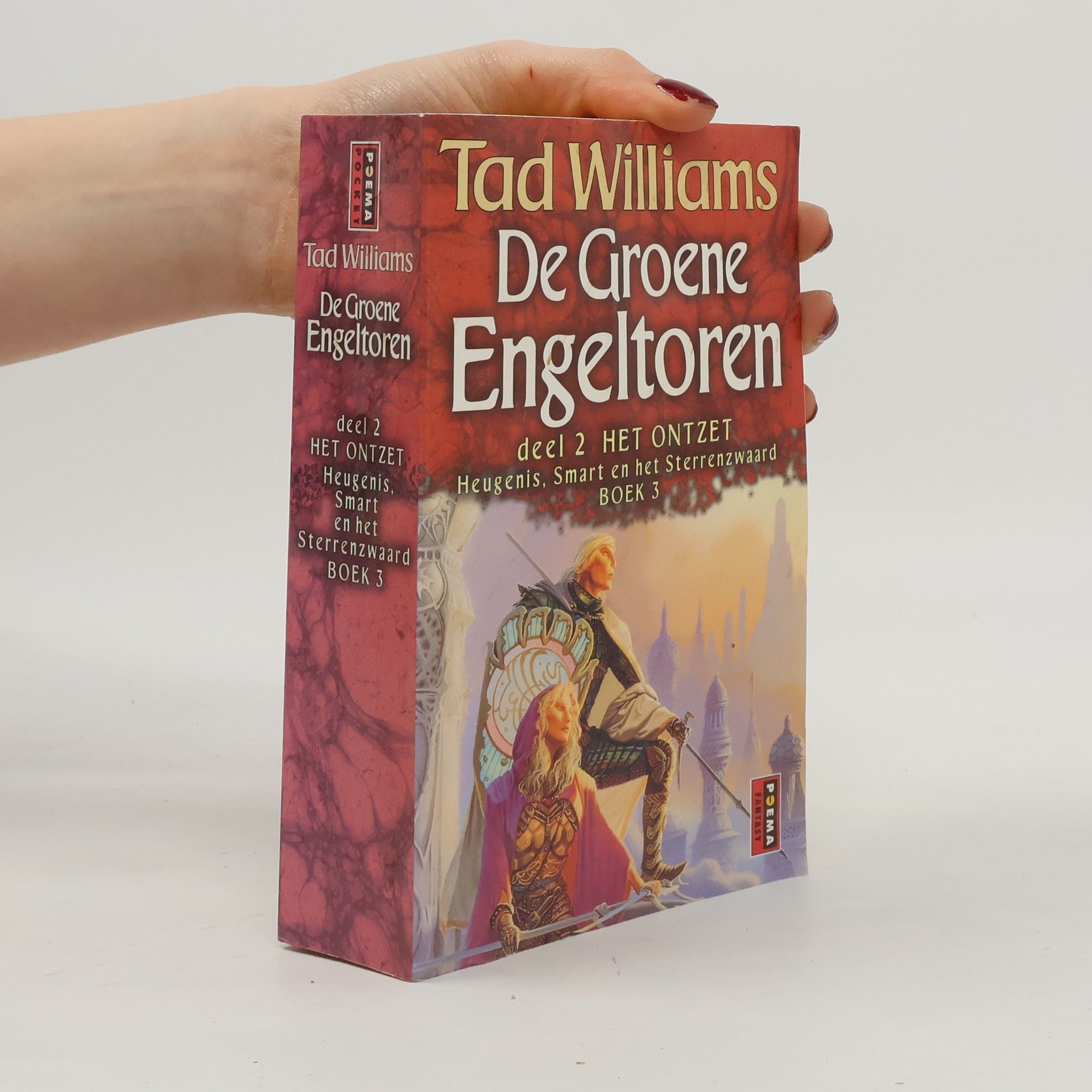 Tad Williams Heugenis, Smart en het Sterrenzwaard - 3: De Groene Engeltoren deel 2 - Het Ontzet