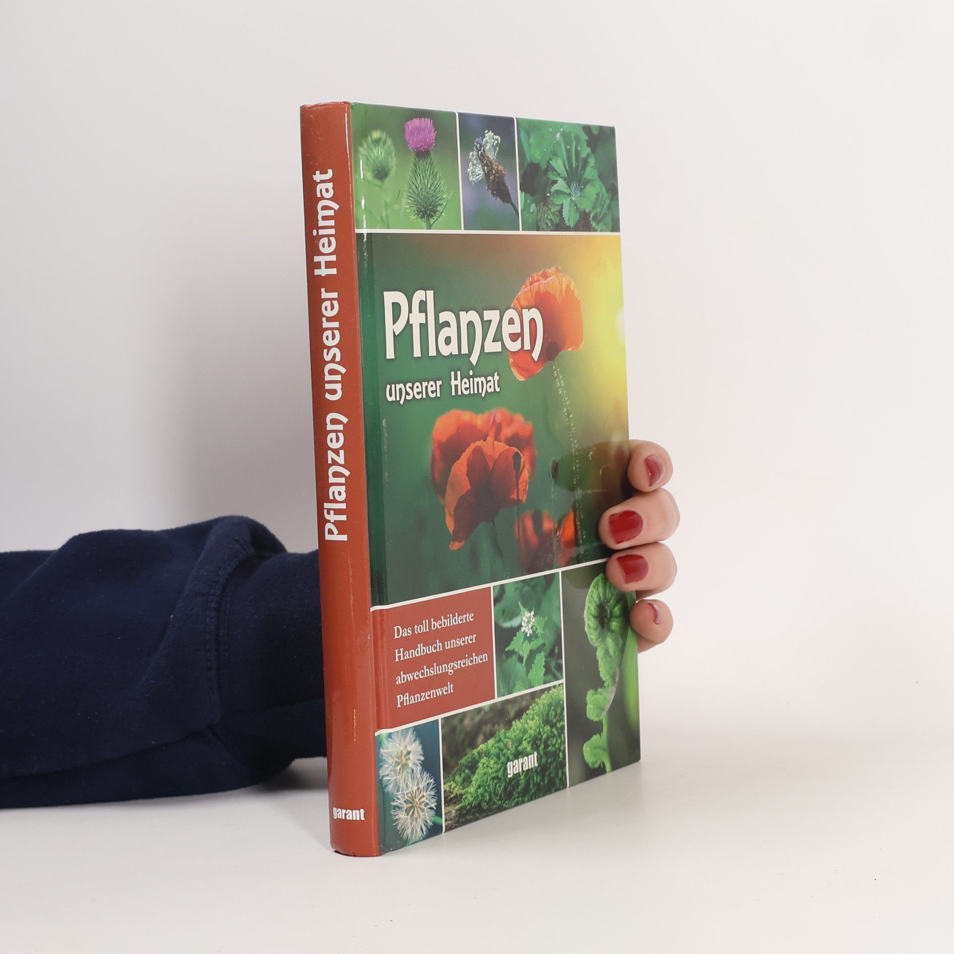 Kolektiv autorů Pflanzen unserer Heimat