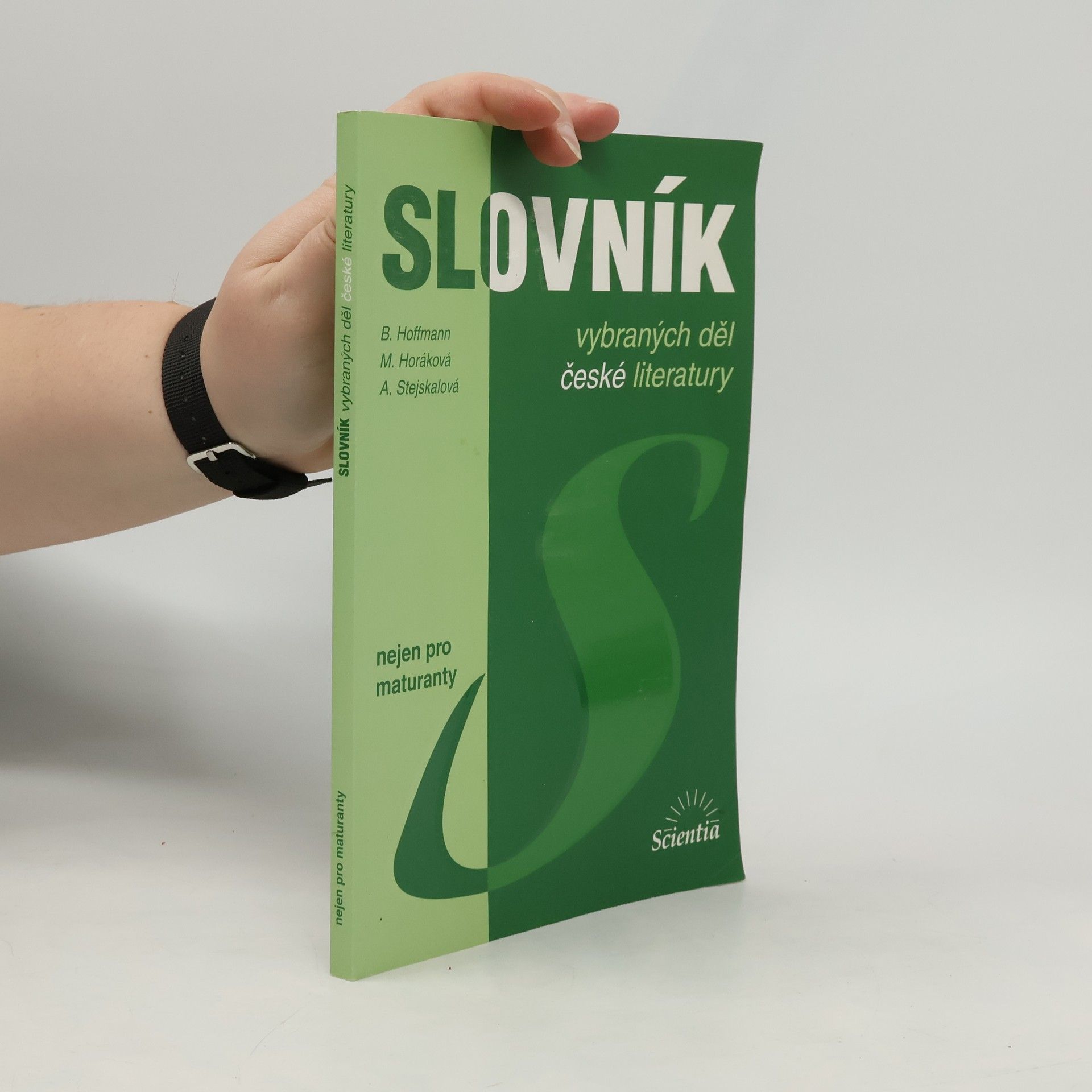 Slovník vybraných děl české literatury