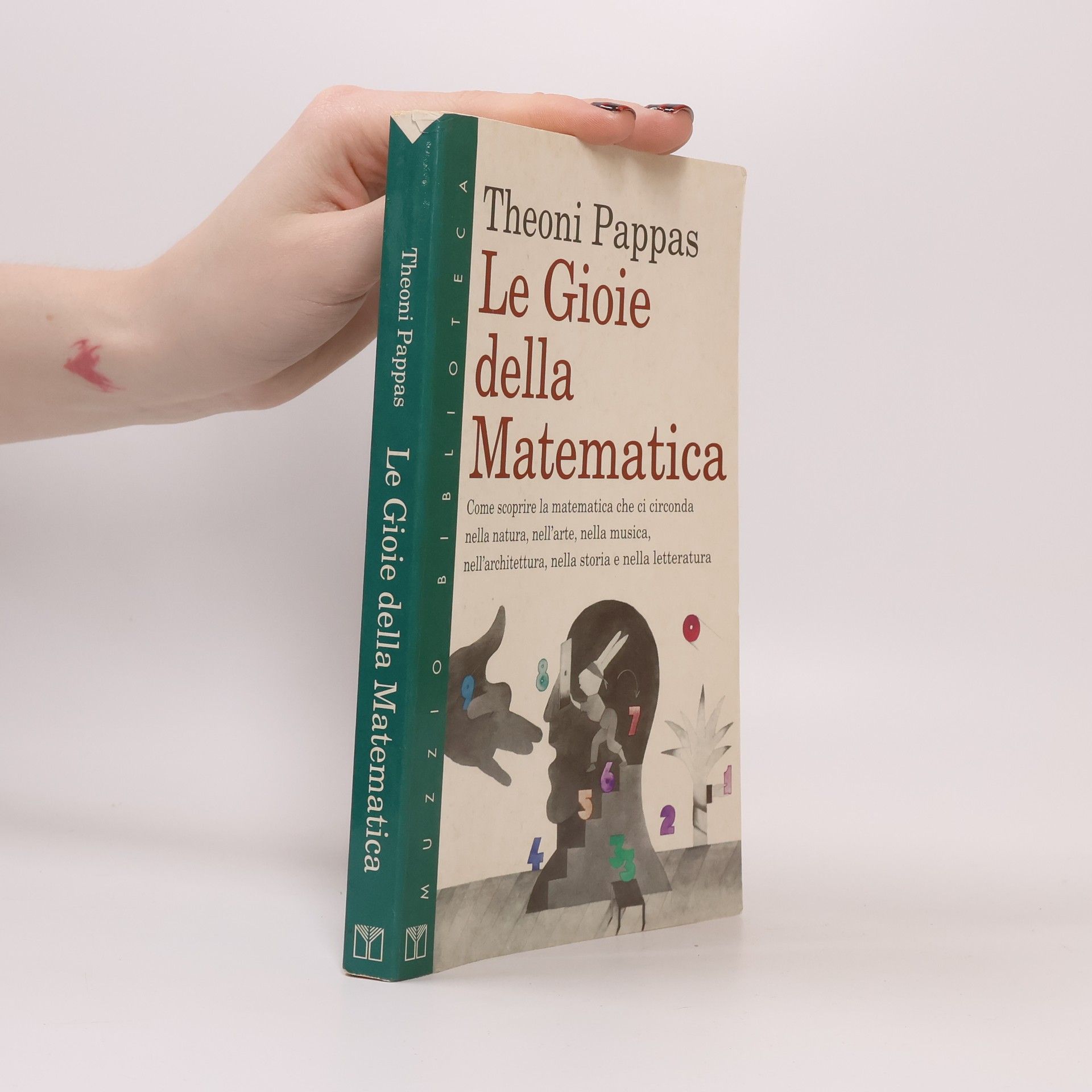 Muzzio biblioteca: Le gioie della matematica