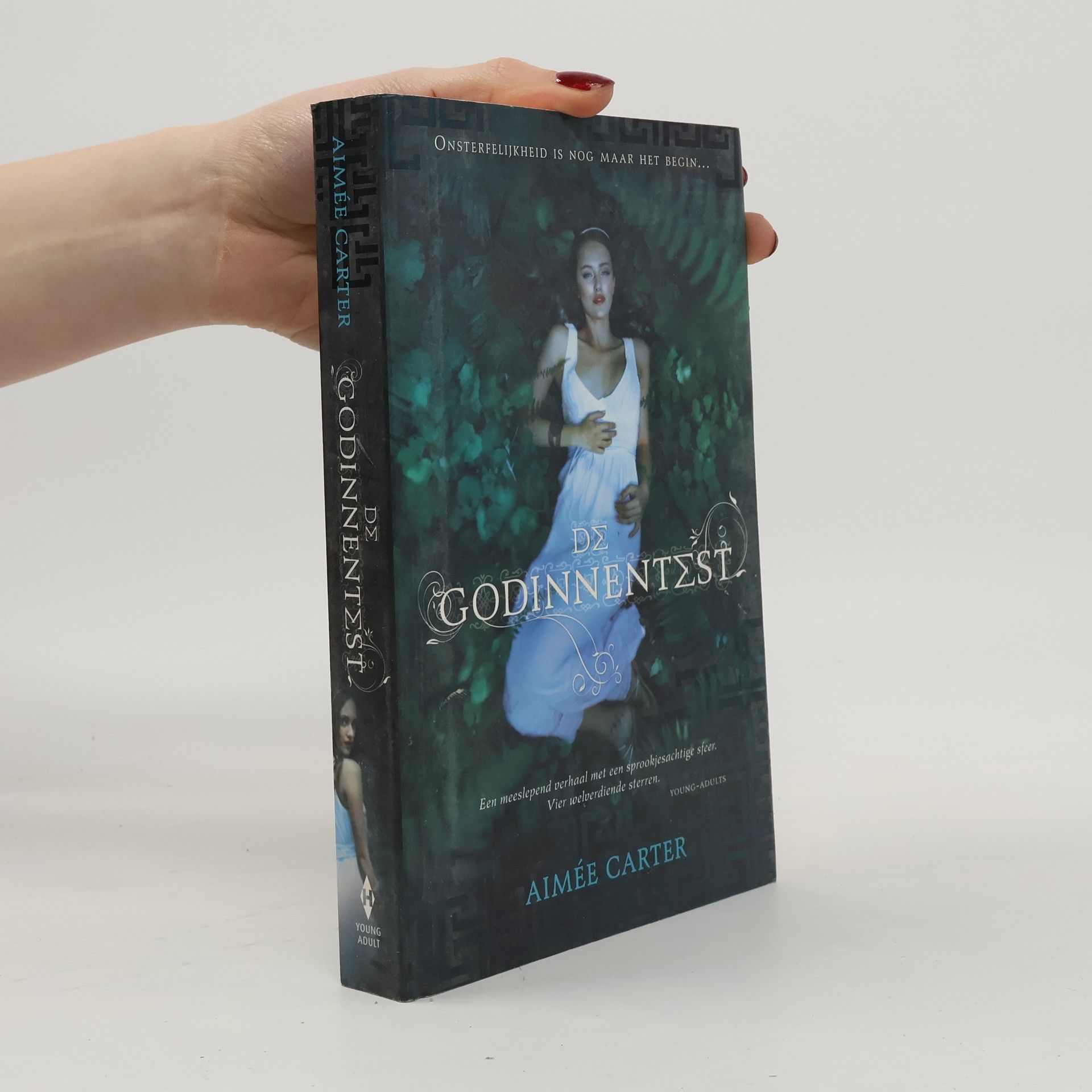 De godinnentest trilogie - 1: De Godinnentest