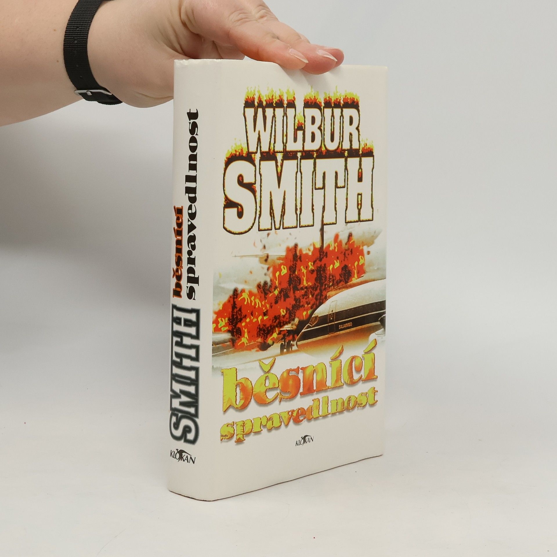Wilbur Smith Běsnící spravedlnost