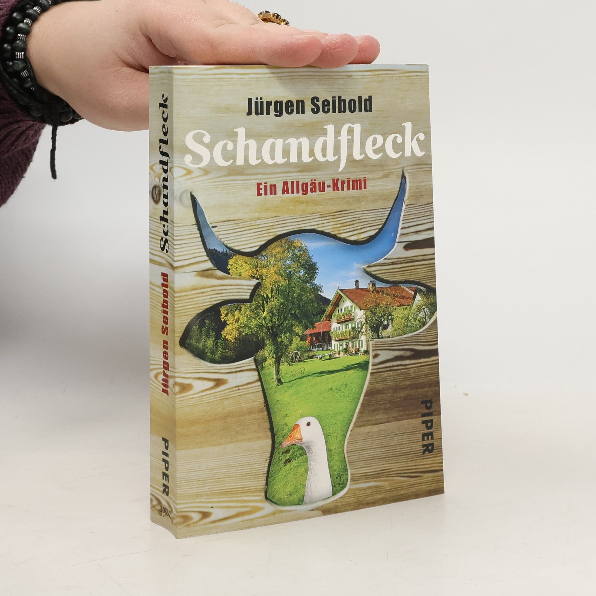 Jürgen Seibold Schandfleck