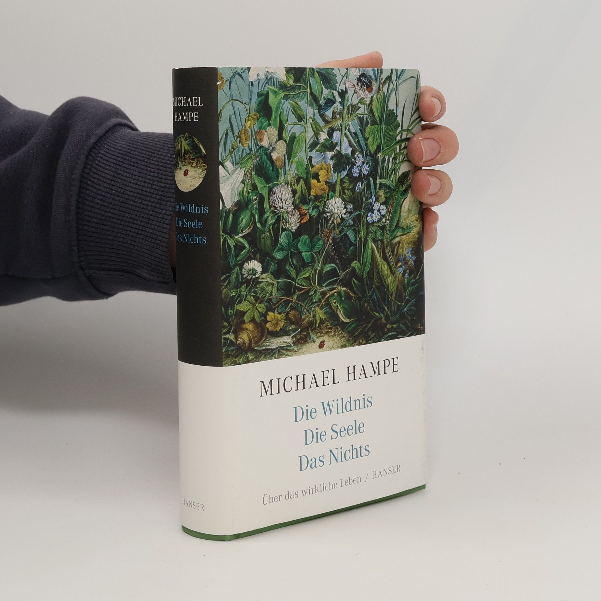 Michael Hampe Der Wildnis. Die Seele. Das Nichts