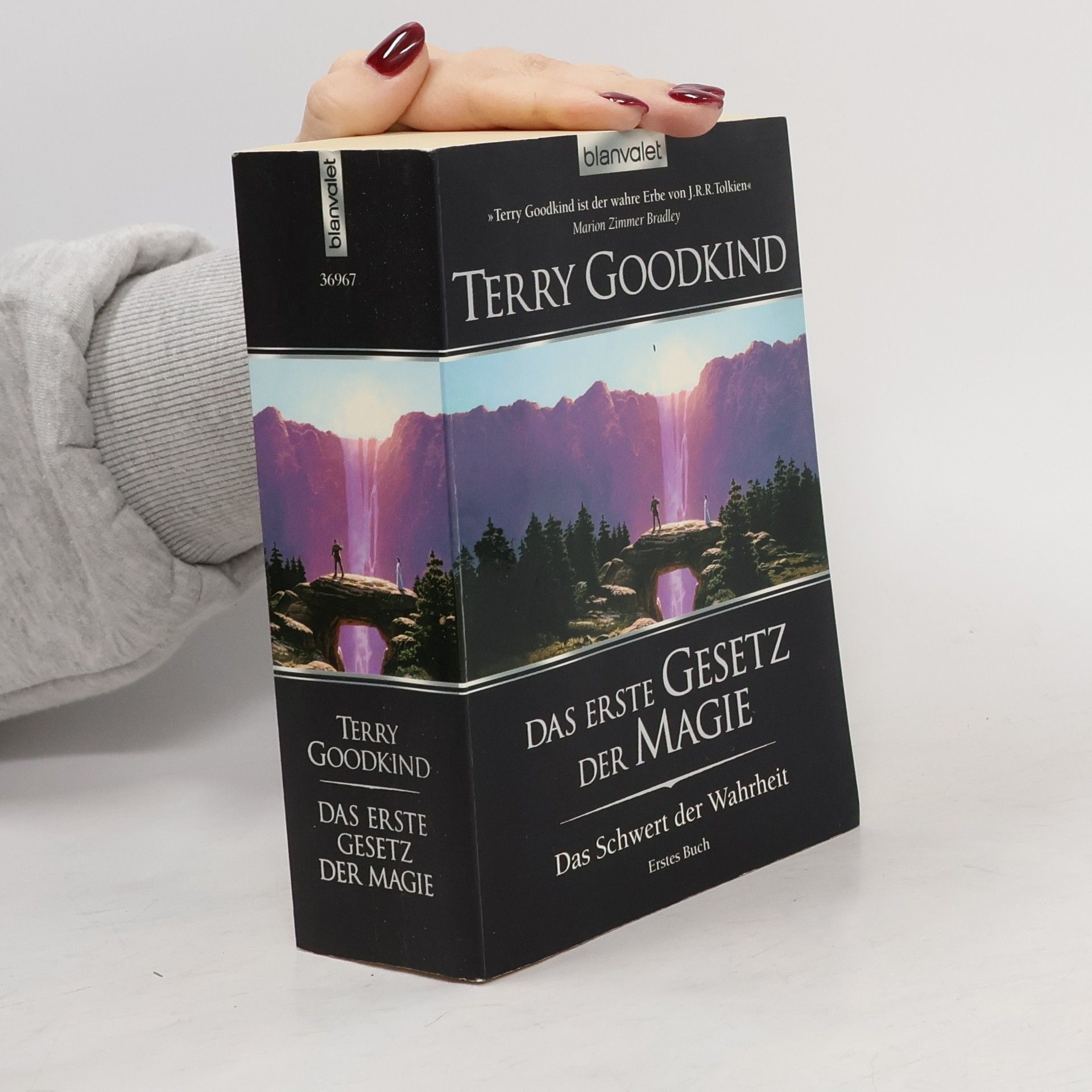 Terry Goodkind Das Schwert der Wahrheit