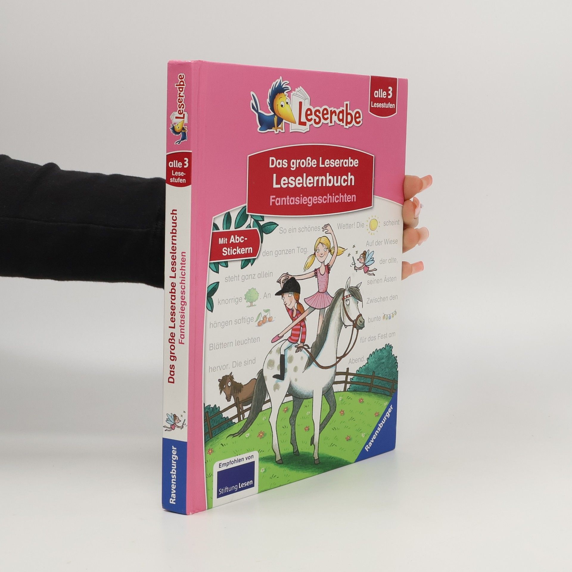 Ingrid Uebe Das große Leserabe Leselernbuch: Fantasiegeschichten - Leserabe ab der 1. Klasse - Erstlesebuch für Kinder ab 5 Jahren