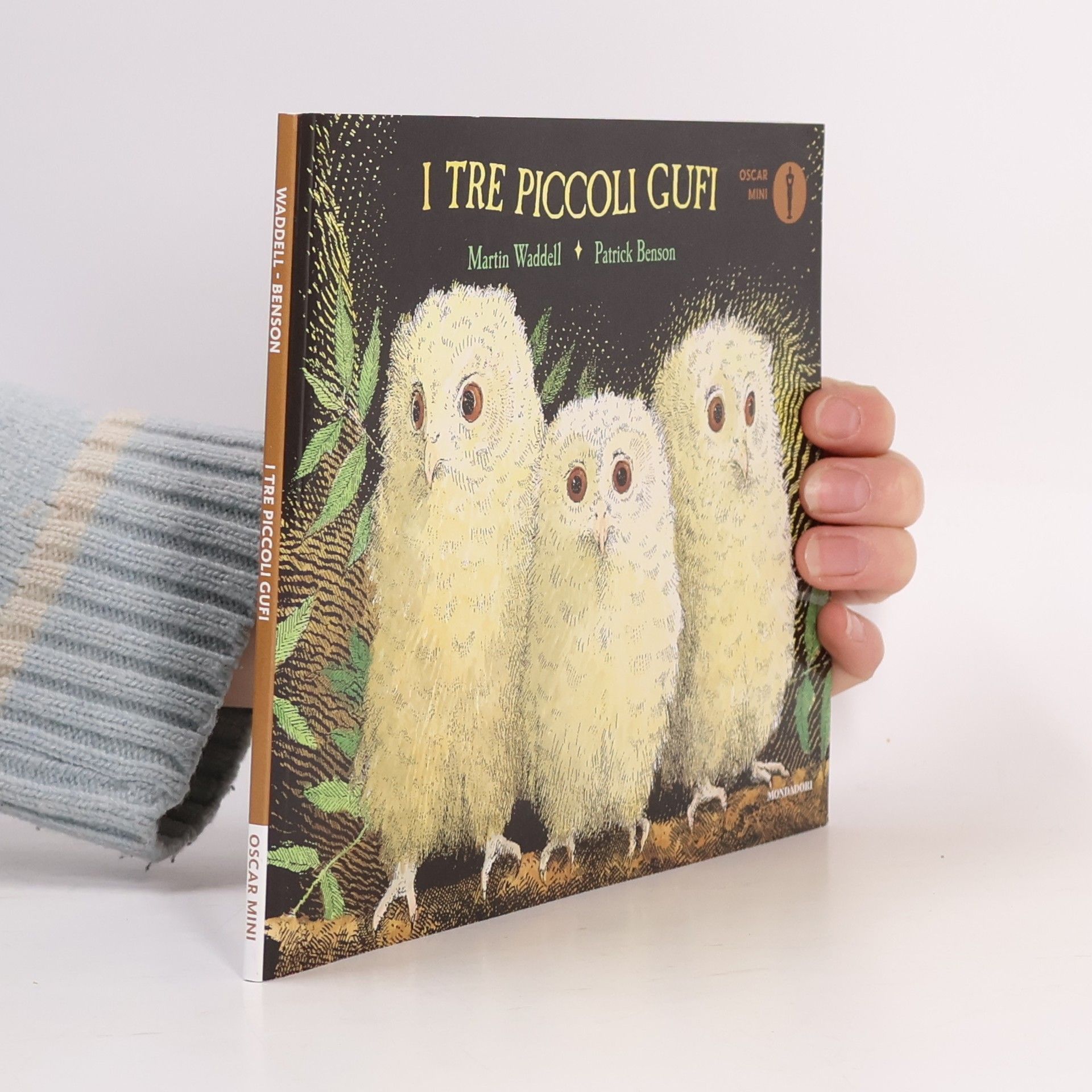 Martin Waddell I tre piccoli gufi