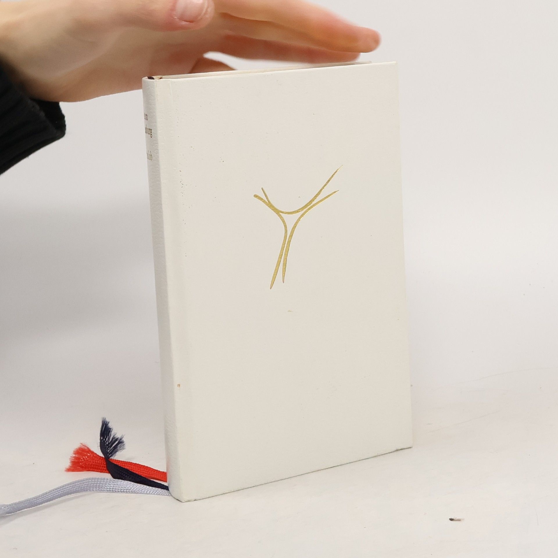 AA.VV. Gotteslob. Katholisches Gebet- und Gesangbuch. Ausgabe für die Diözese Regensburg