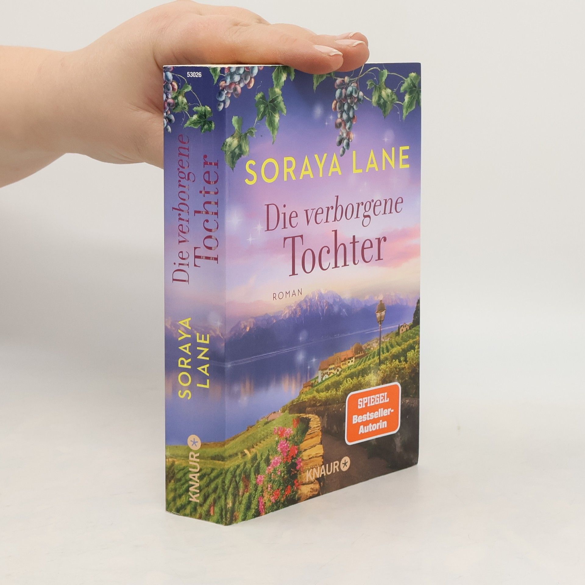 Die verborgene Tochter / Die verlorenen Töchter Bd.4