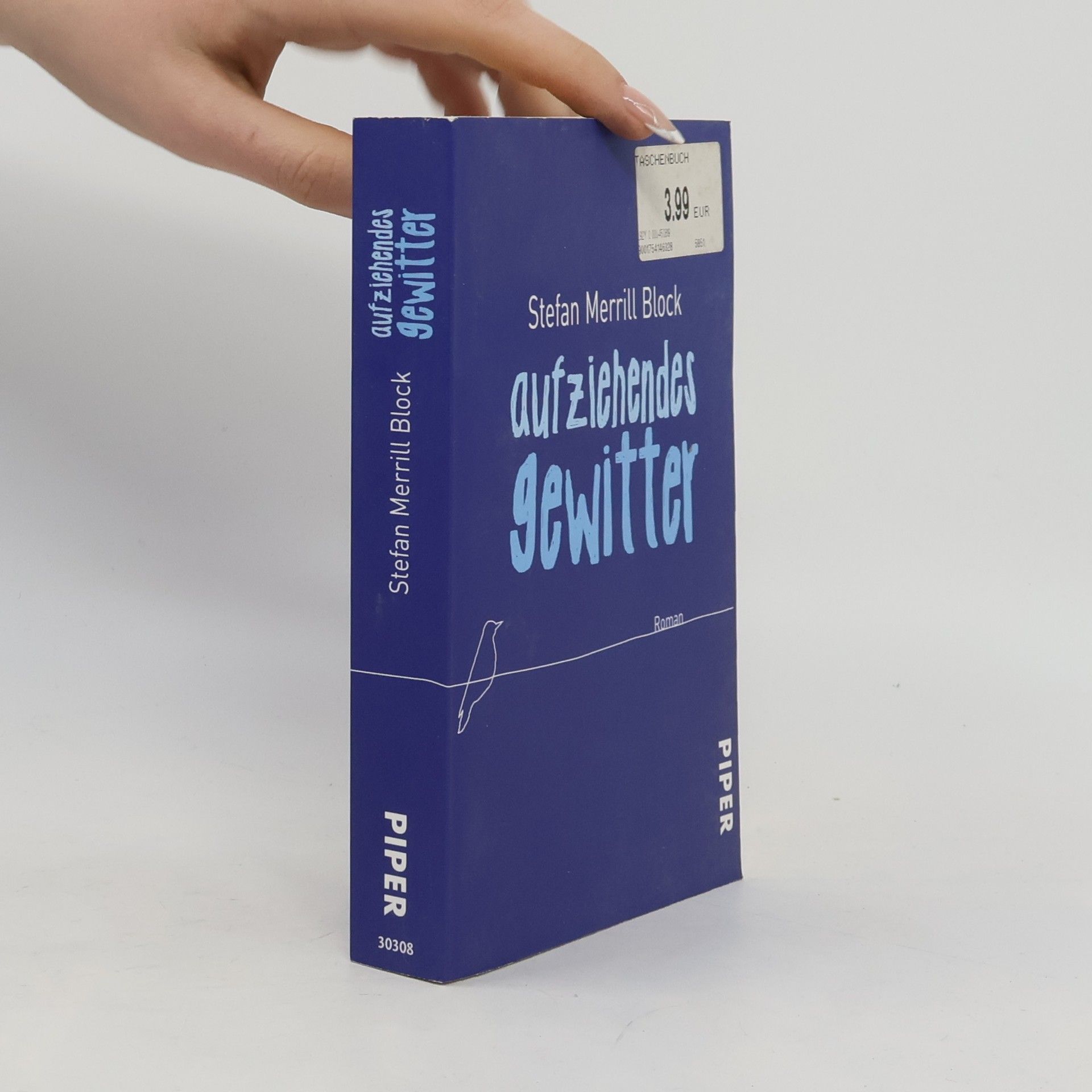 Stefan Merrill Block Aufziehendes Gewitter