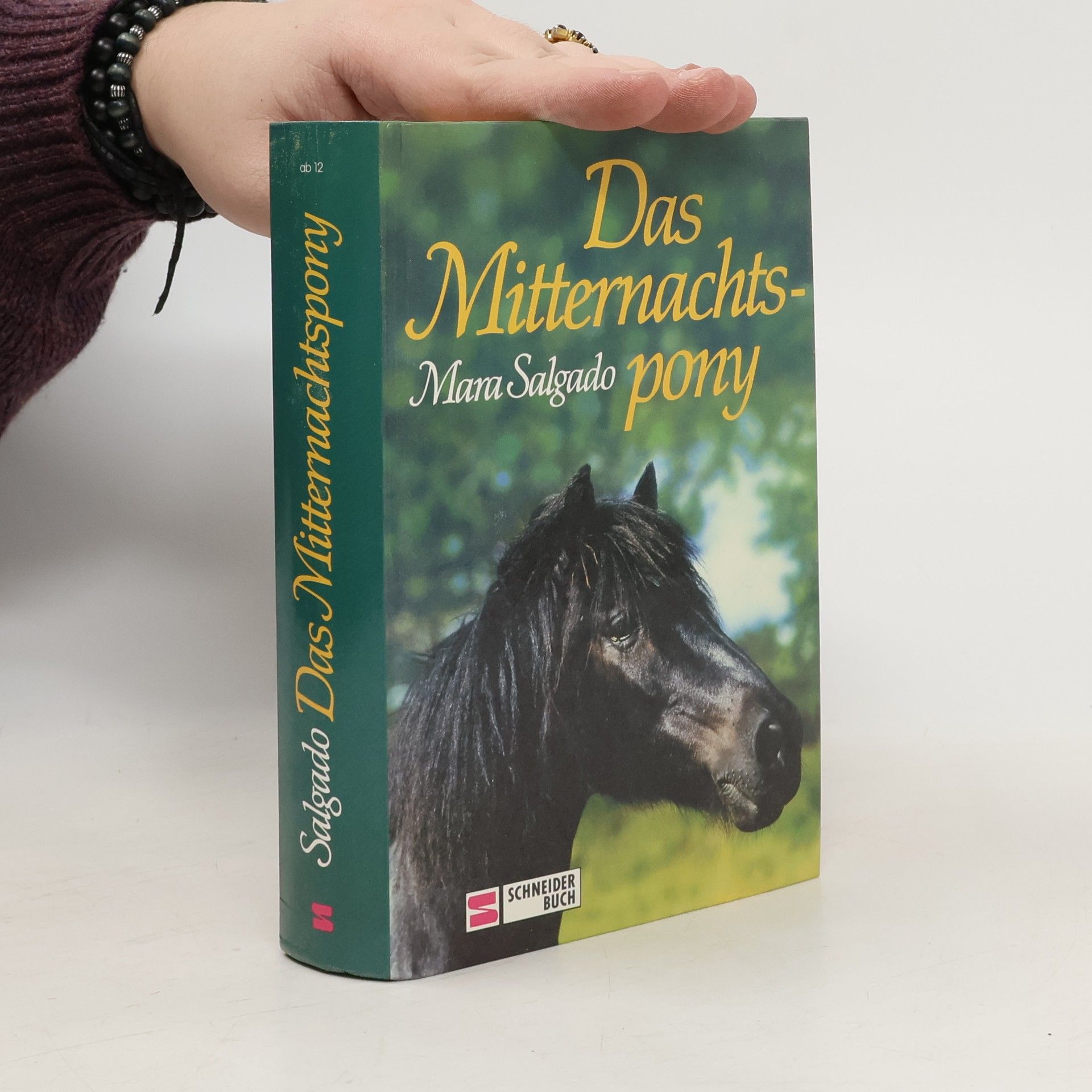 Mara Salgado Das Mitternachtspony