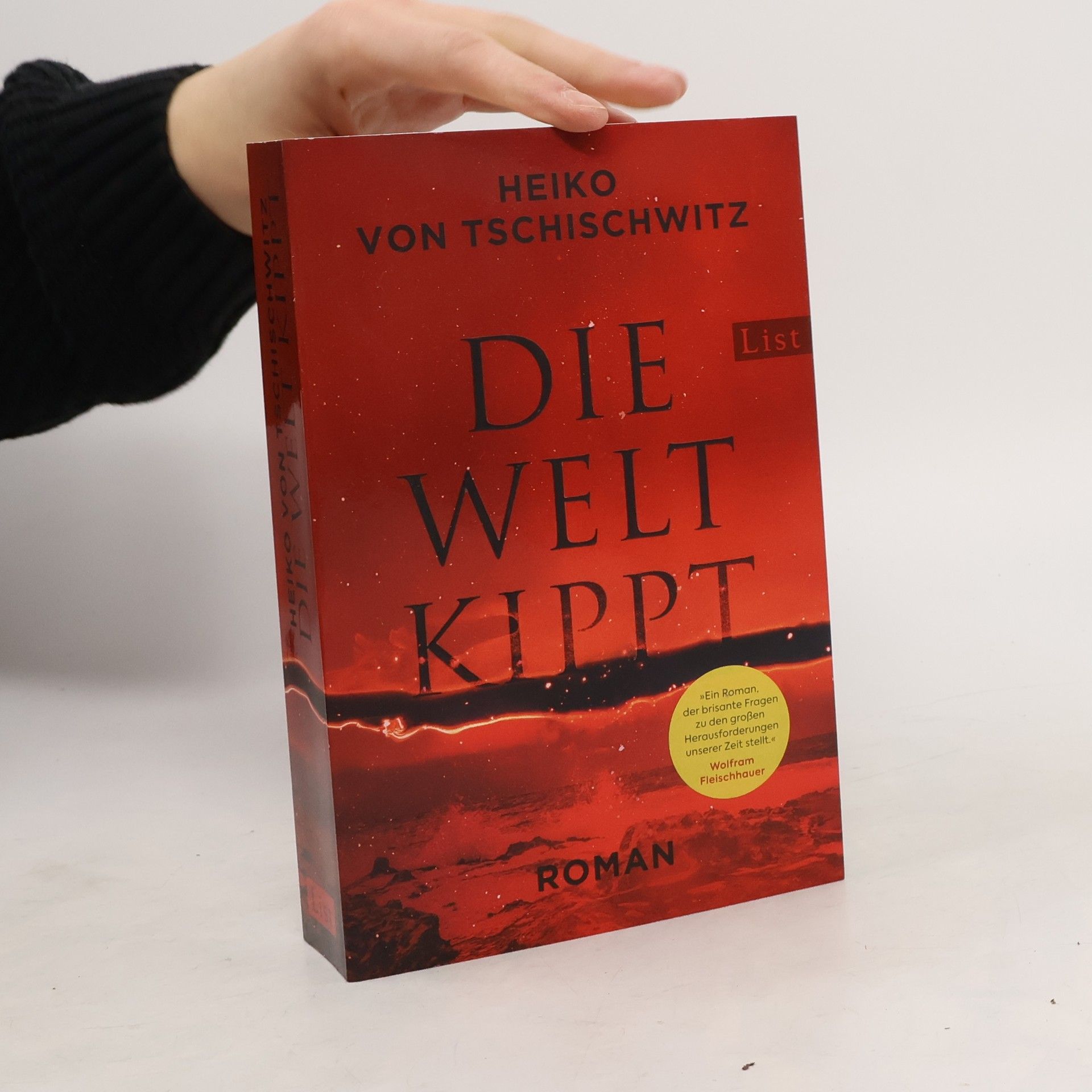 Heiko von Tschischwitz Die Welt Kippt