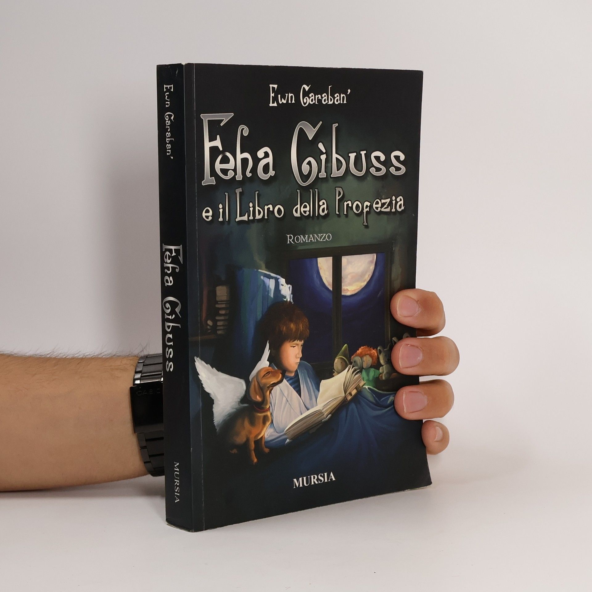 Ewn Garàbandal Feha Gibuss e il Libro della Profezia