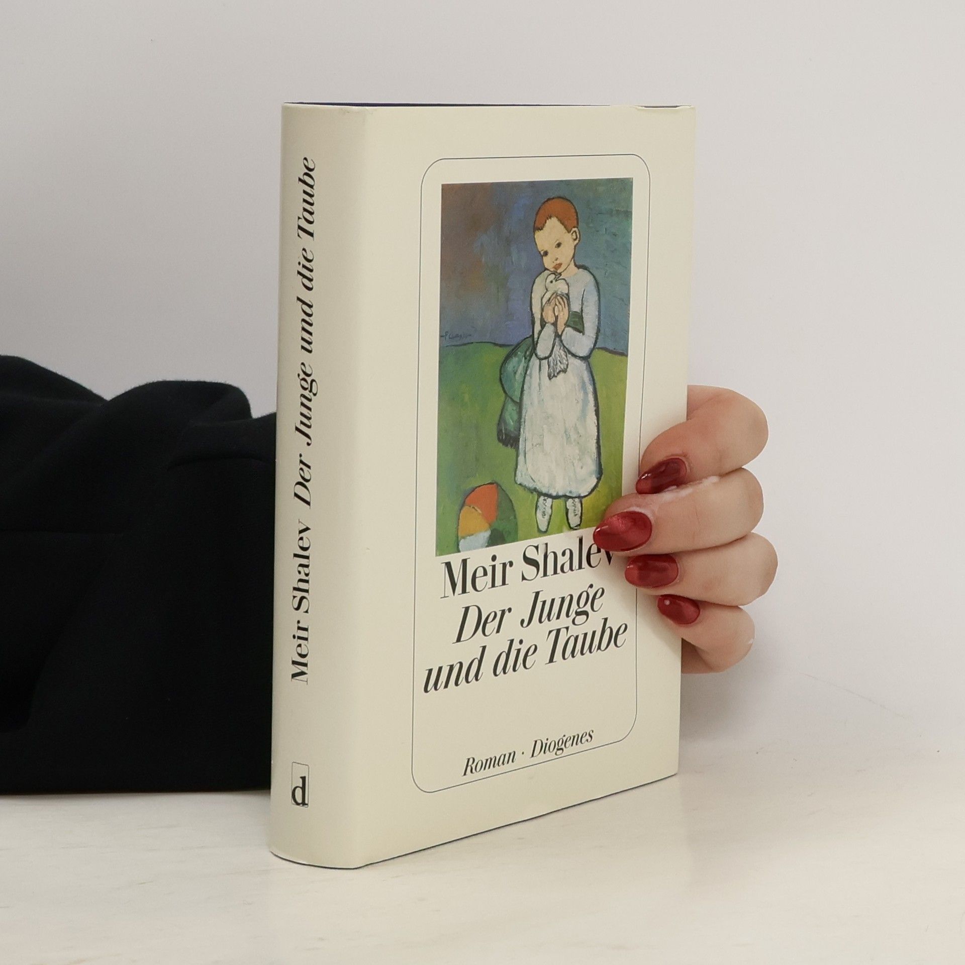 Meir Shalev Der Junge und die Taube