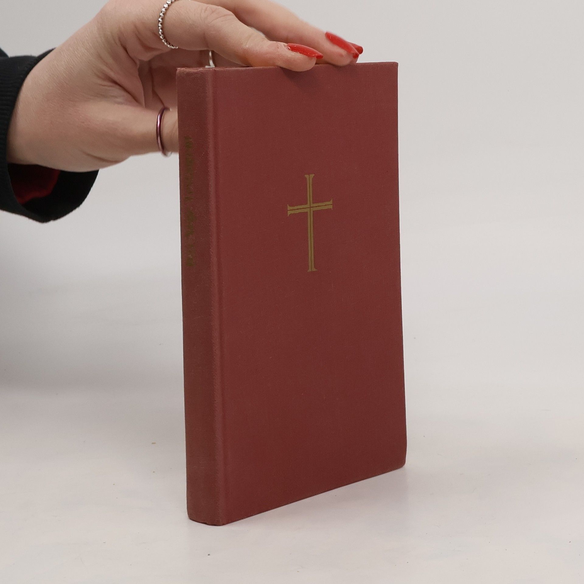 Autorenkollektiv Das neue Testament