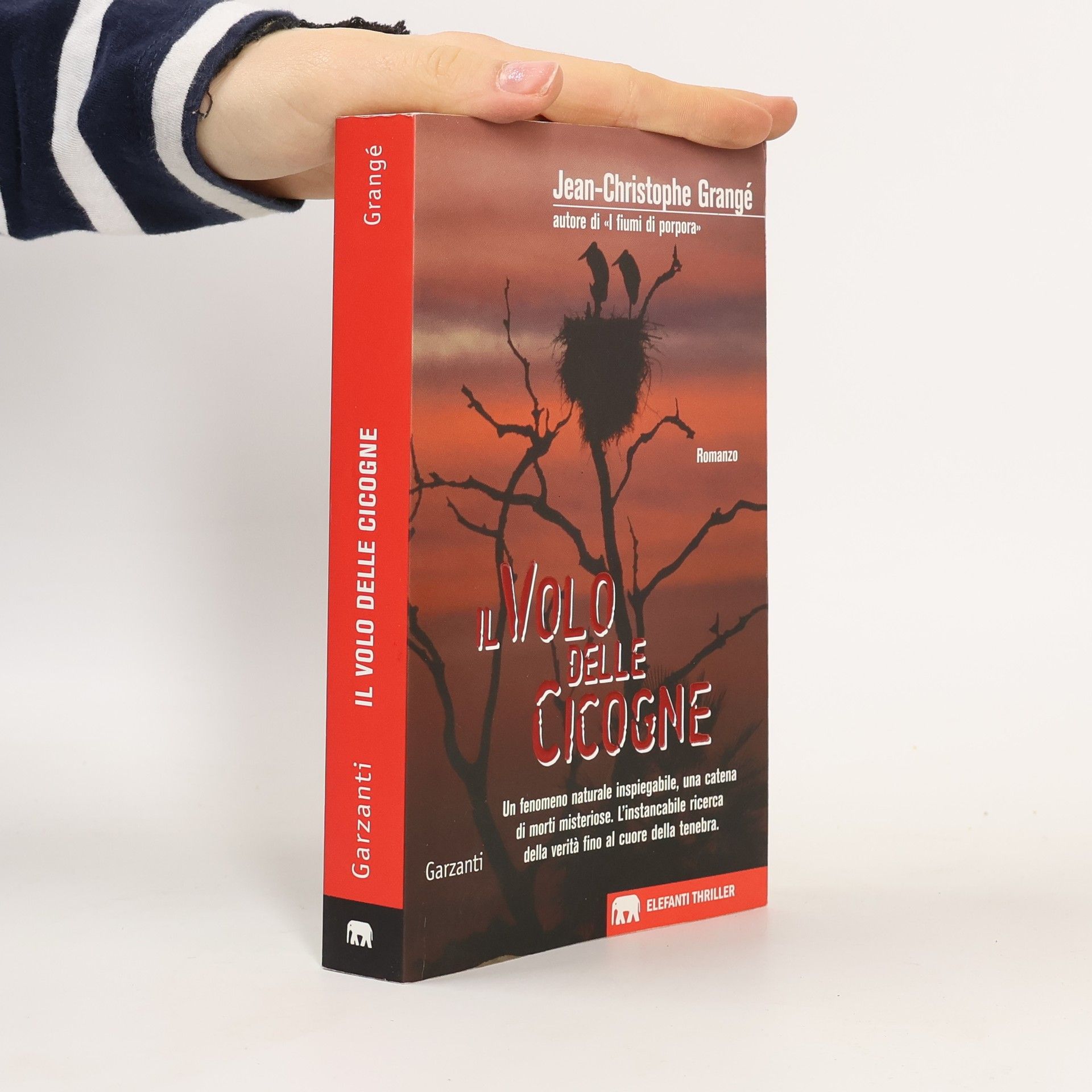 Jean Christophe Grangé Il volo delle cicogne