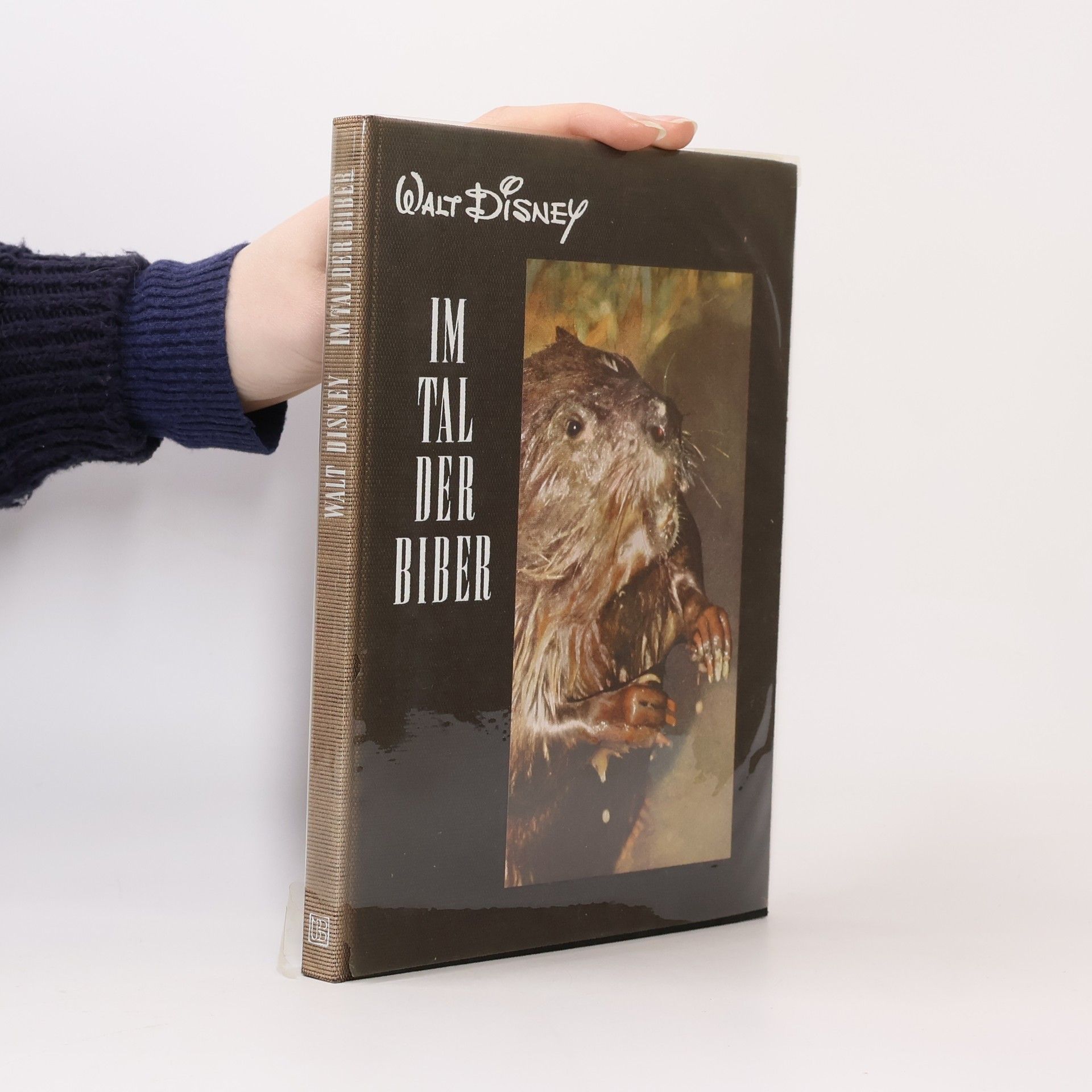 Autorenkollektiv Im Tal der Biber