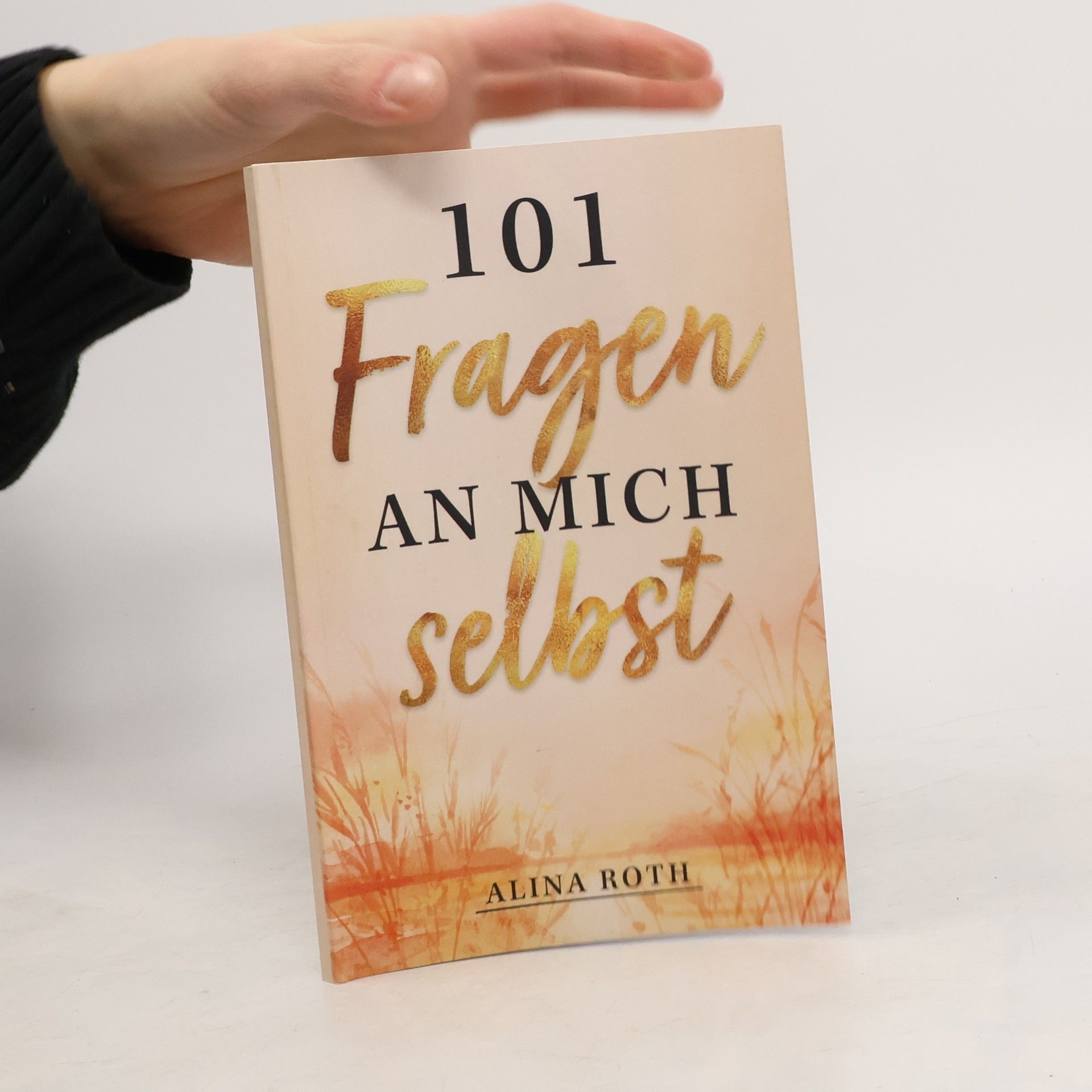 Alina Roth 101 Fragen an mich selbst